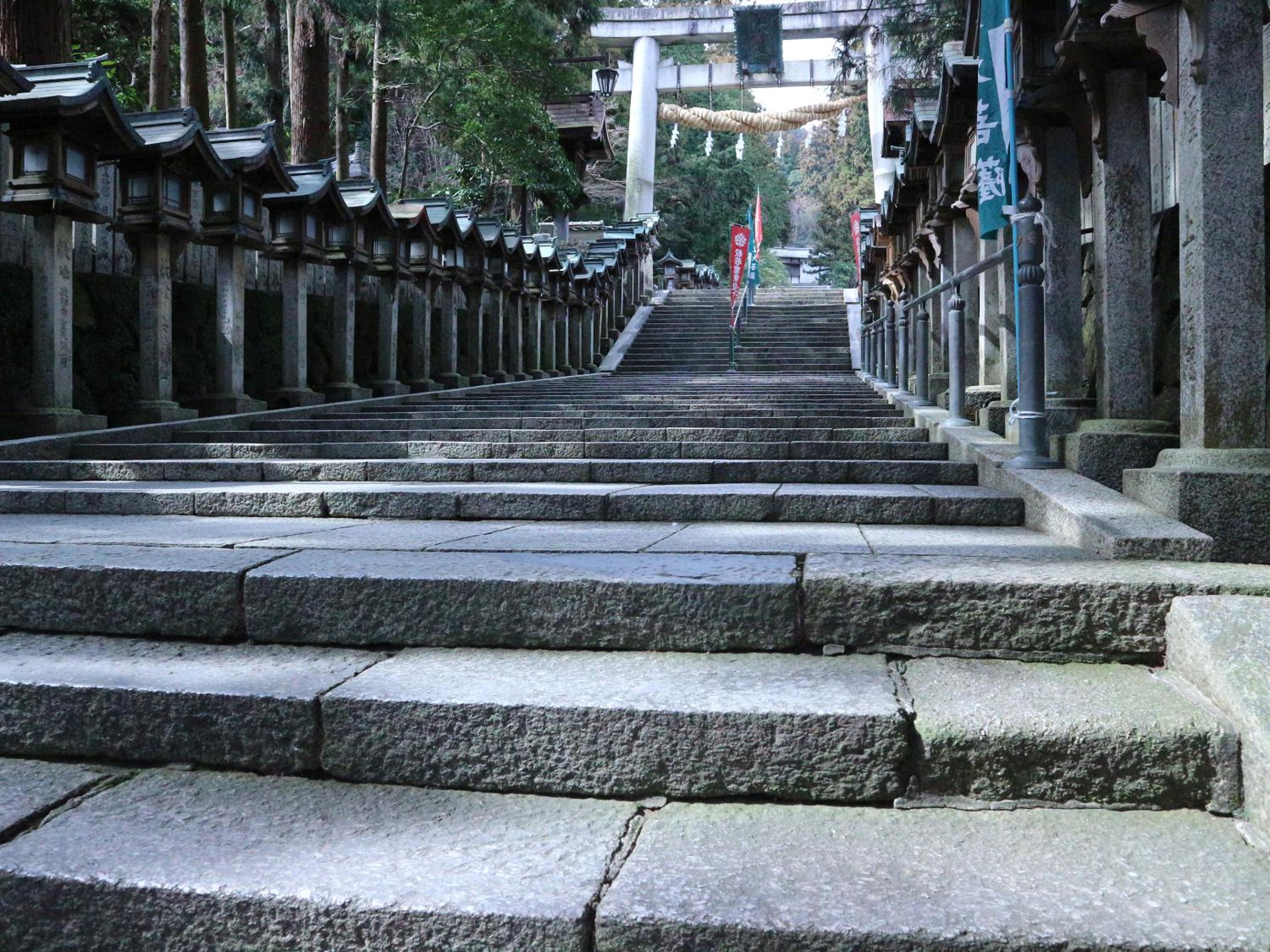 Kanko Ryokan Yamato view 4