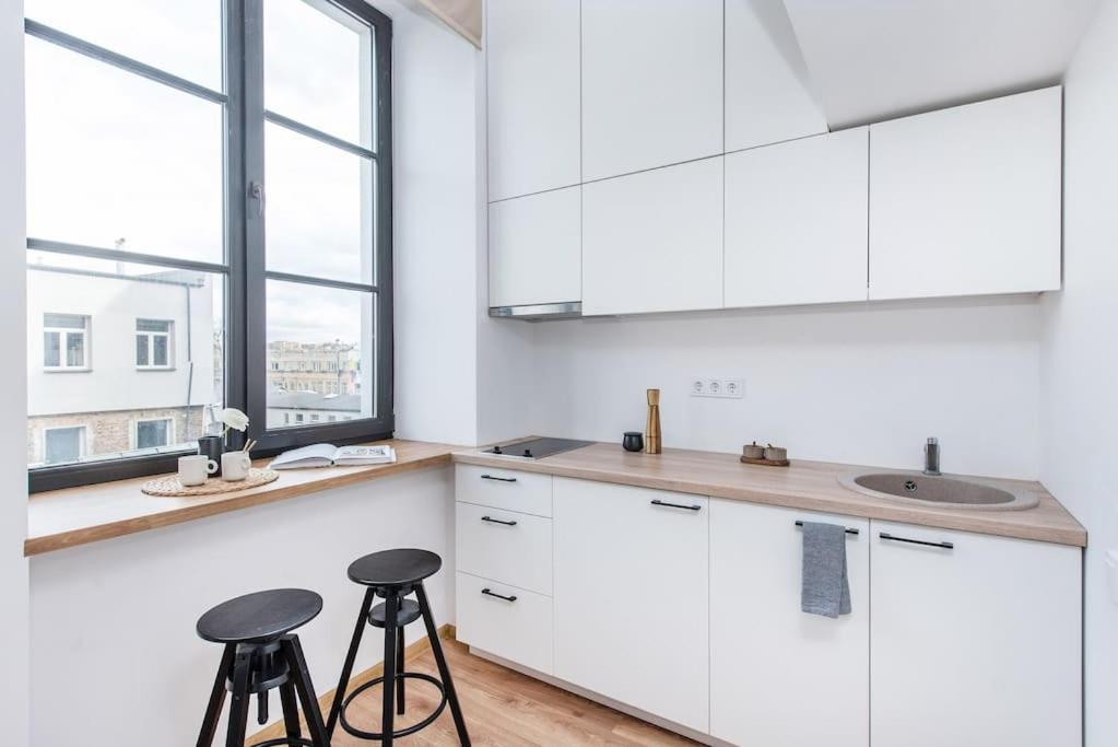 Warm and light Loft near Vilnius centre