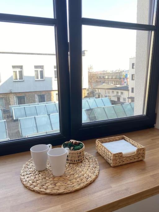 Warm and light Loft near Vilnius centre