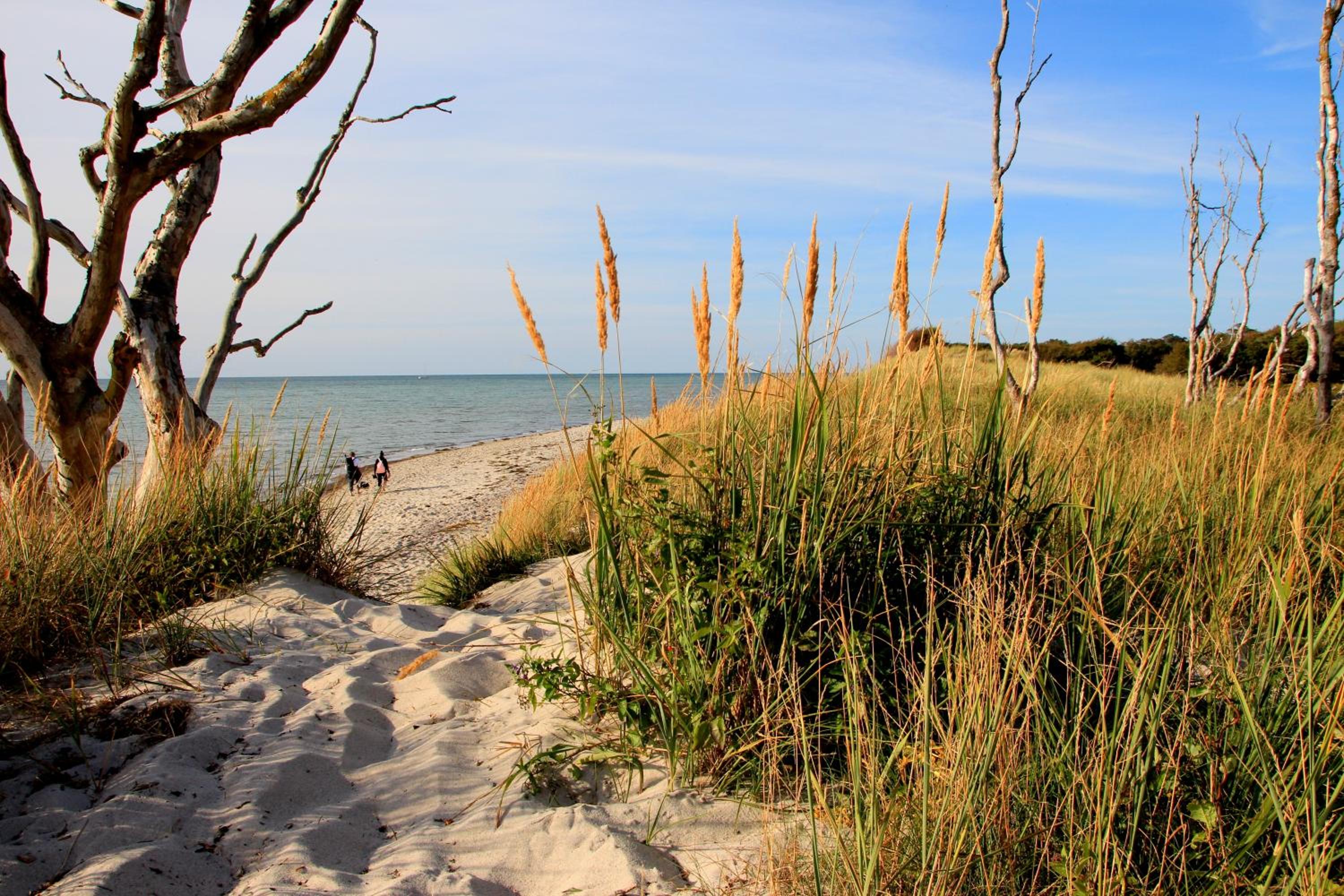 Ferienwohnungen Fründt view 3