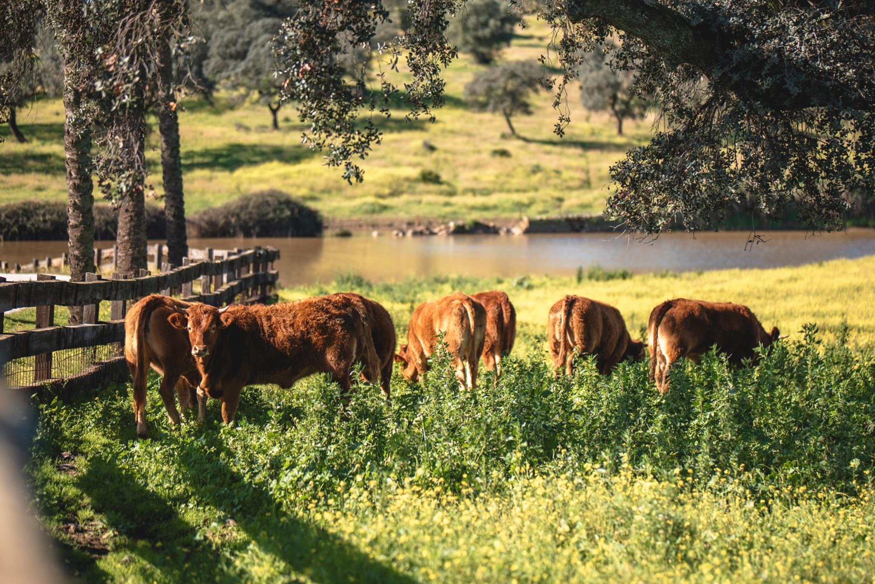 Alojamiento Rural Finca Barral