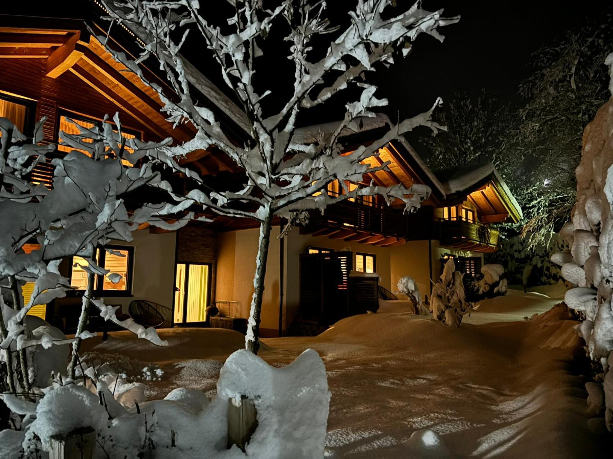 Chalets AurAlpin view 4