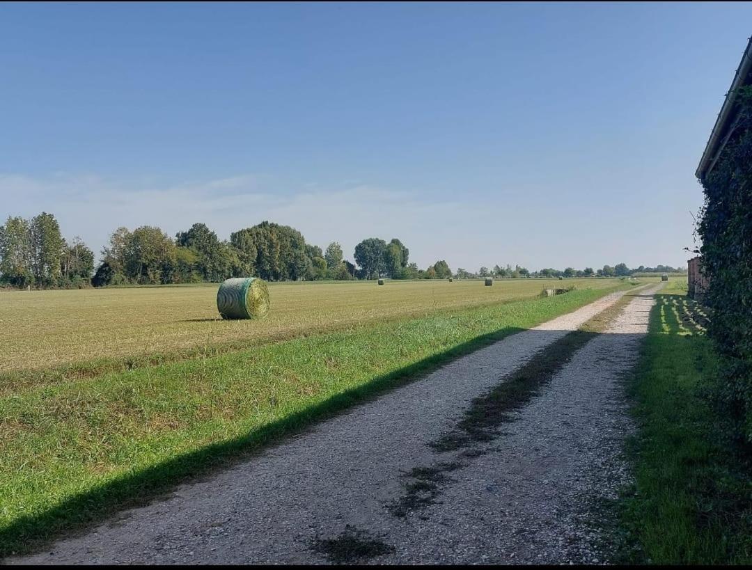 Canovetta Country House "Jakiro" - nearby Cremona view 3