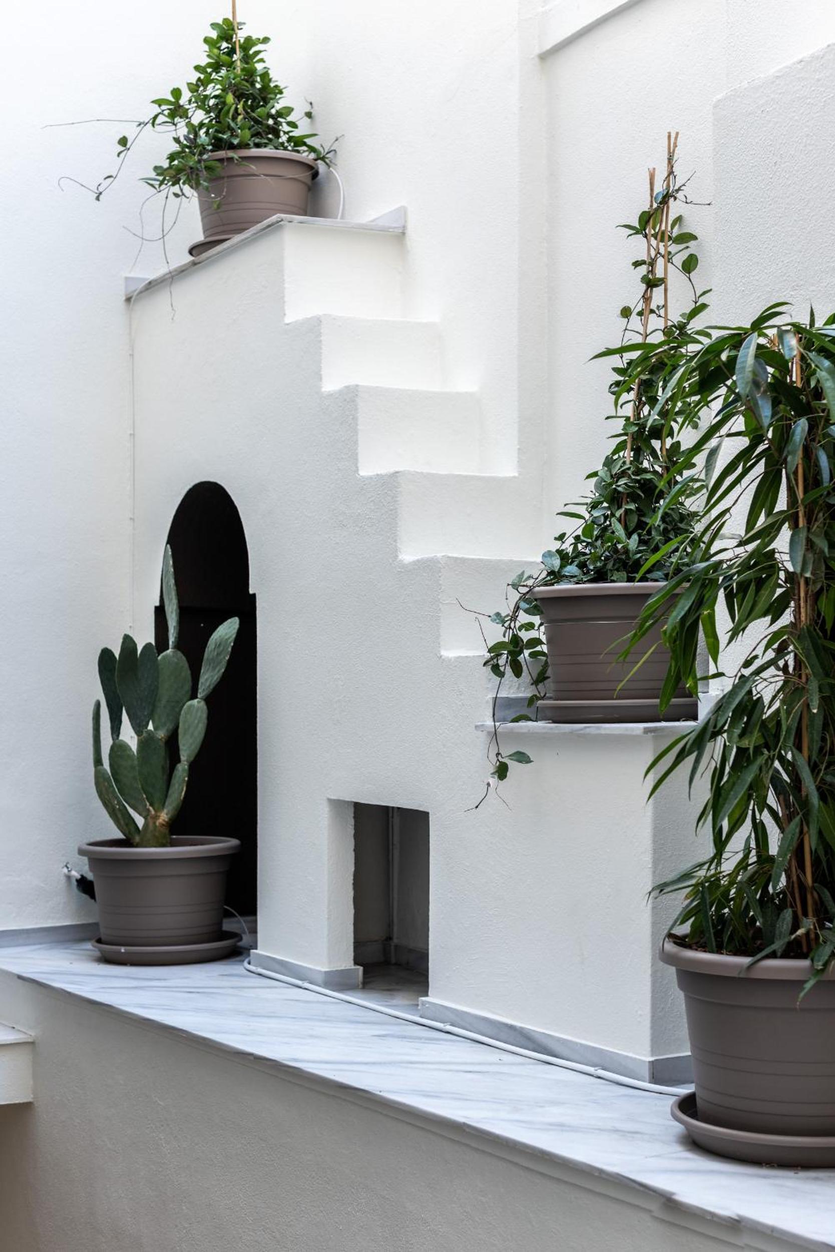 Sublime Townhouse by Zoia Living