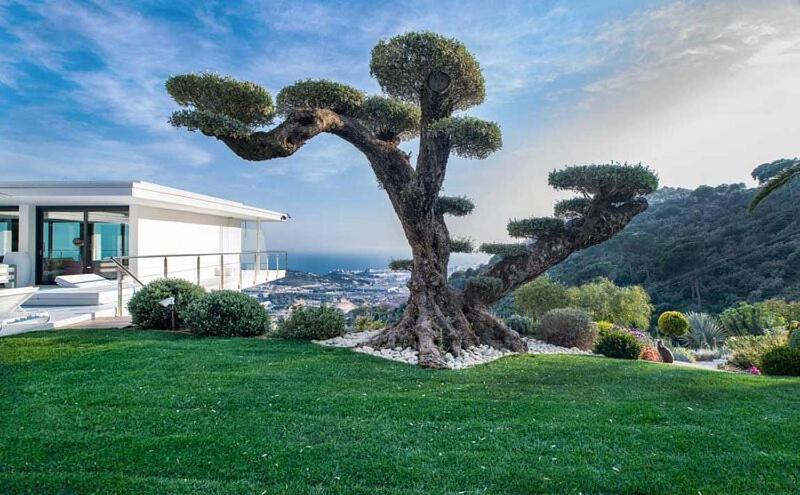 Ibiza Style Barcelona