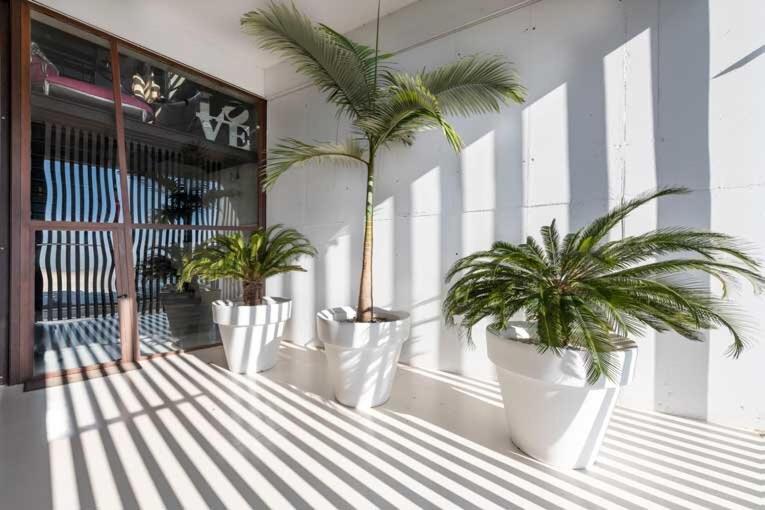 Ibiza Style Barcelona