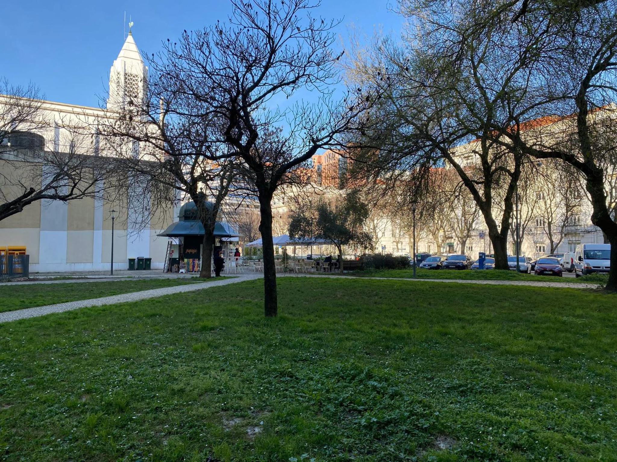 Photo 31