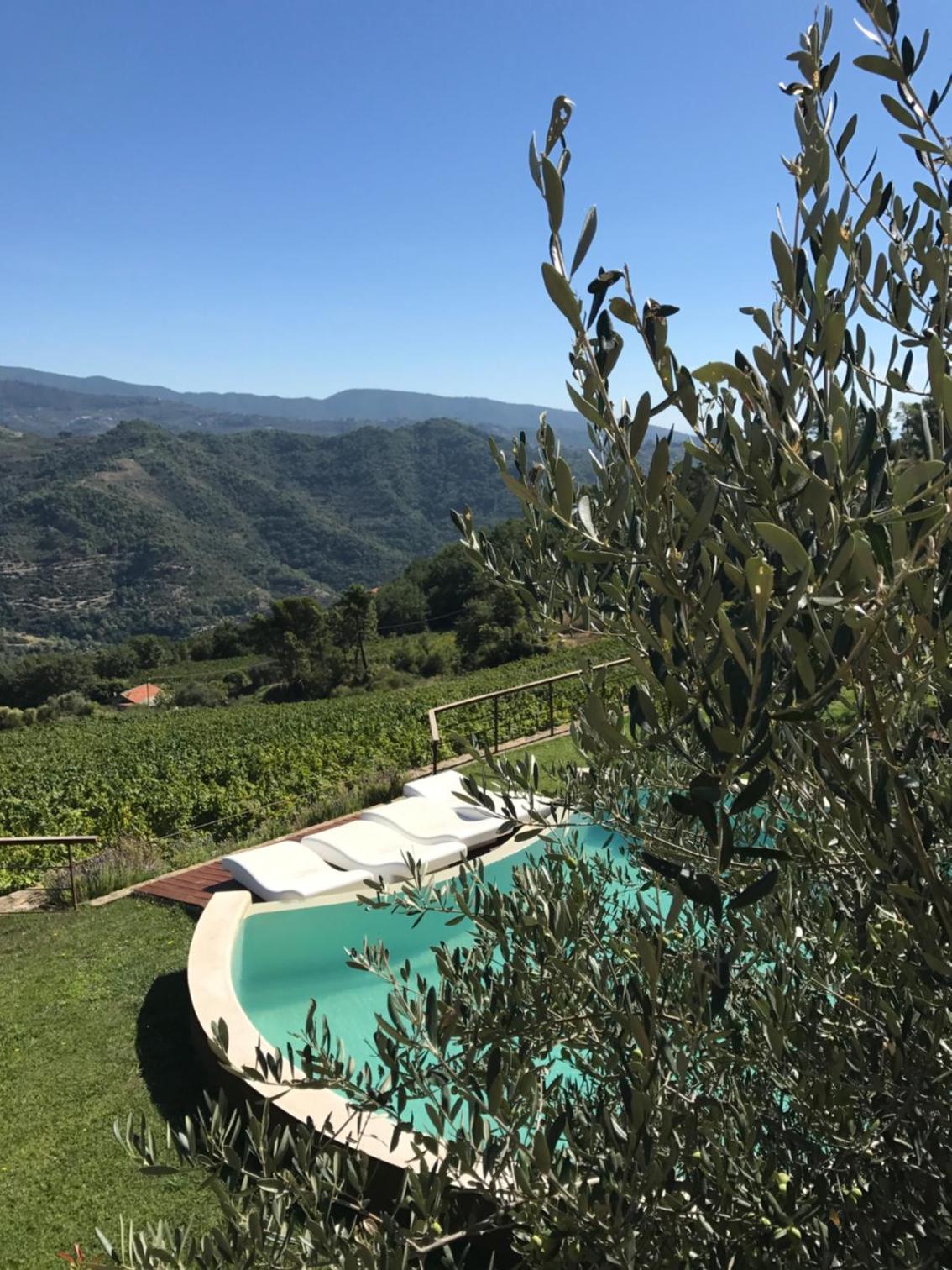 Agriturismo Altavia-Travigne