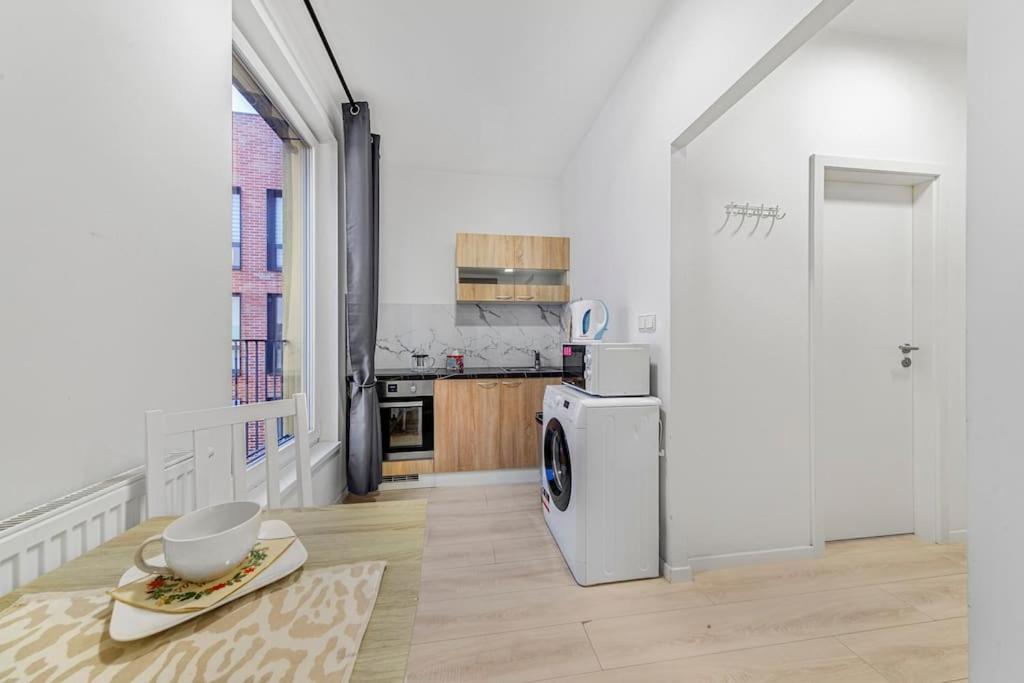 Apartment in Prague N1