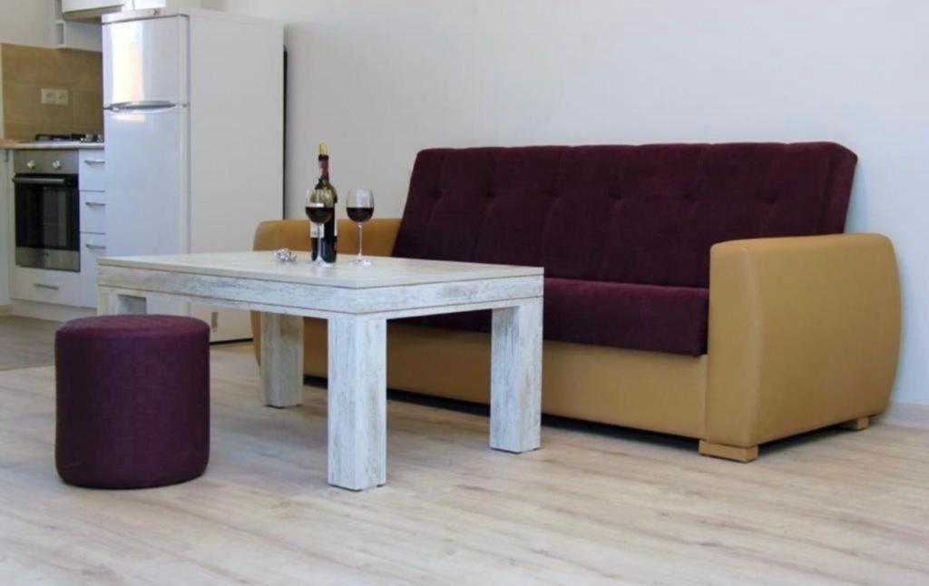 Excellent apartment in the Republic Square Pushkin 3