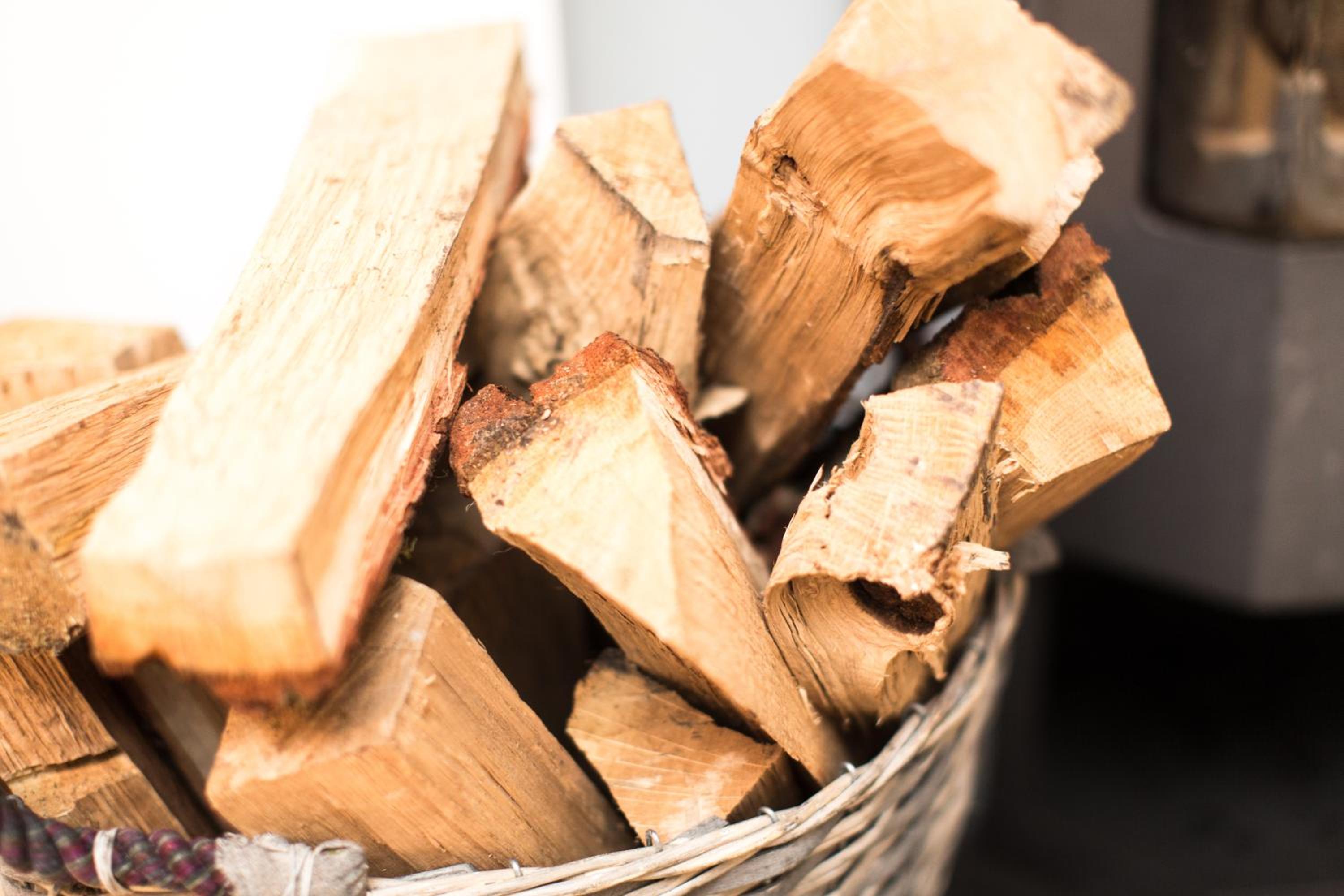 Gut Thansen Forsthaus - Property Image 39