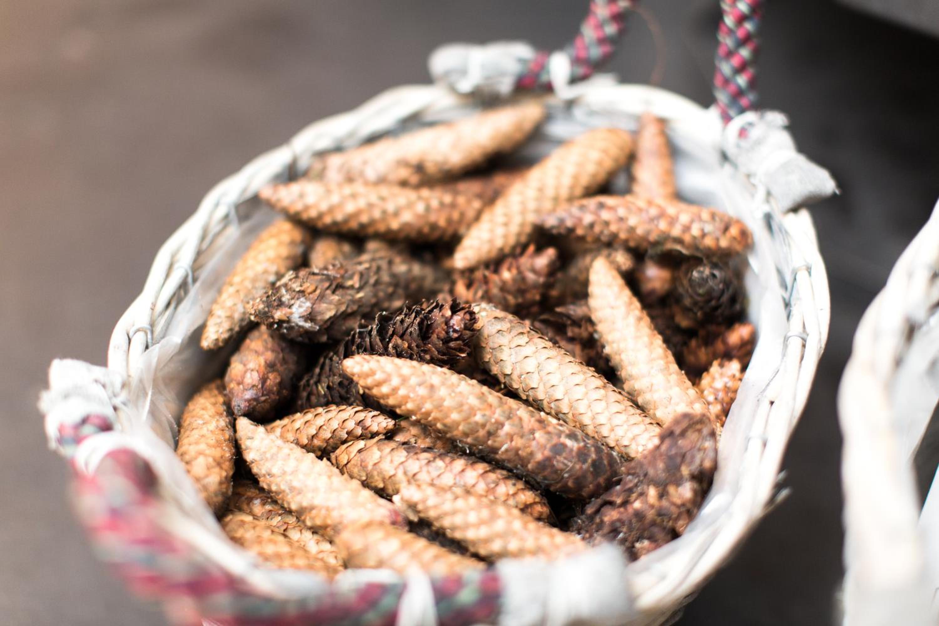 Gut Thansen Forsthaus - Property Image 46