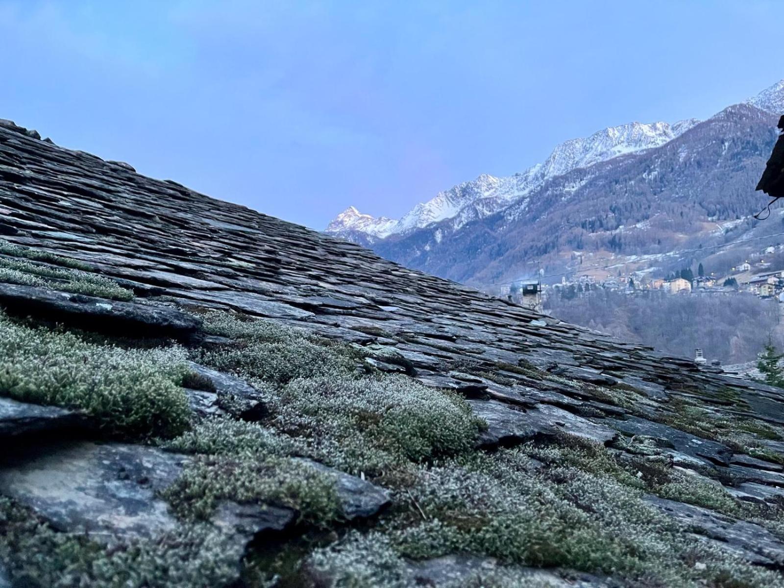 Il nido di Curlo view 4