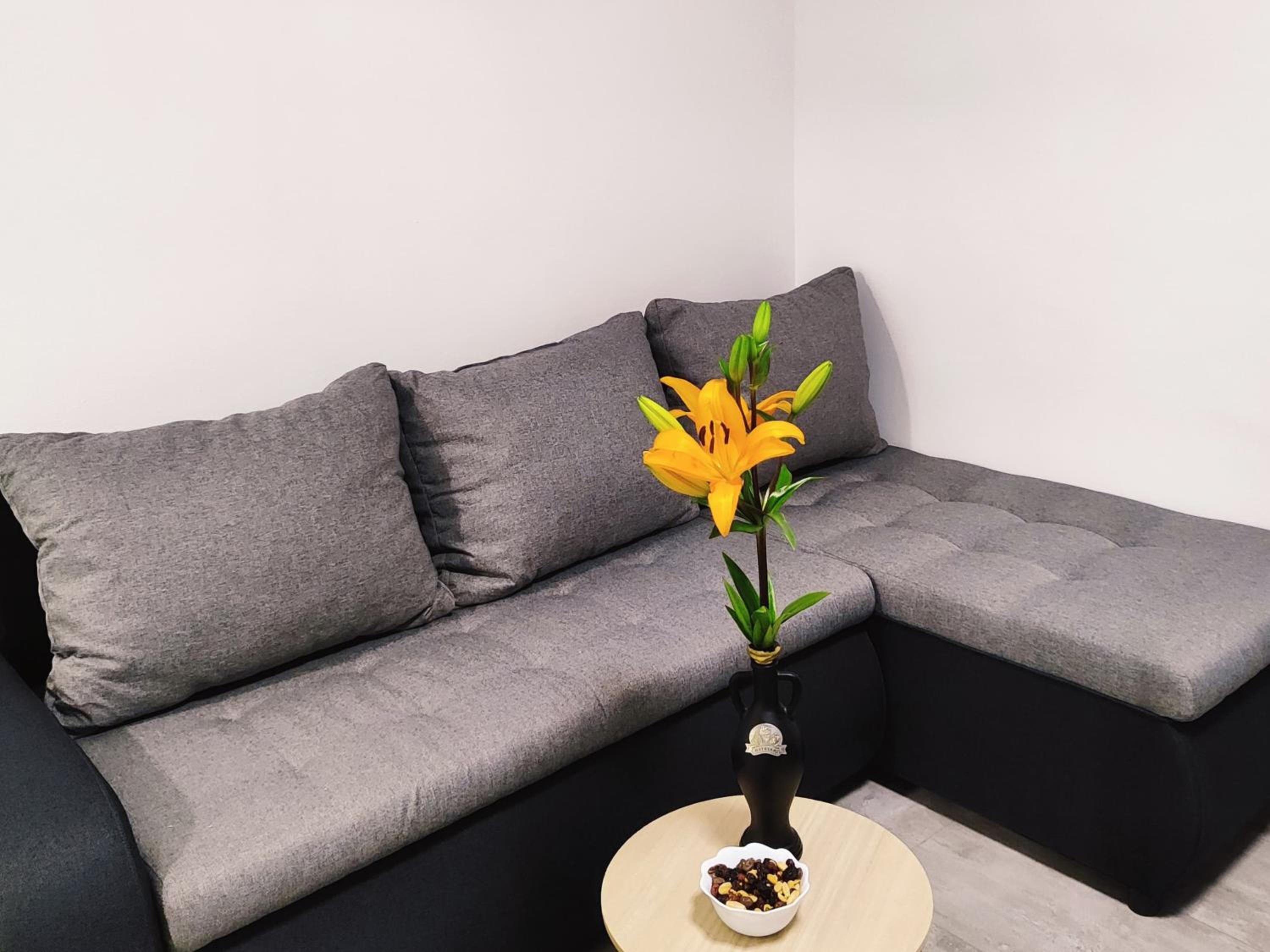 Apartment Castellina