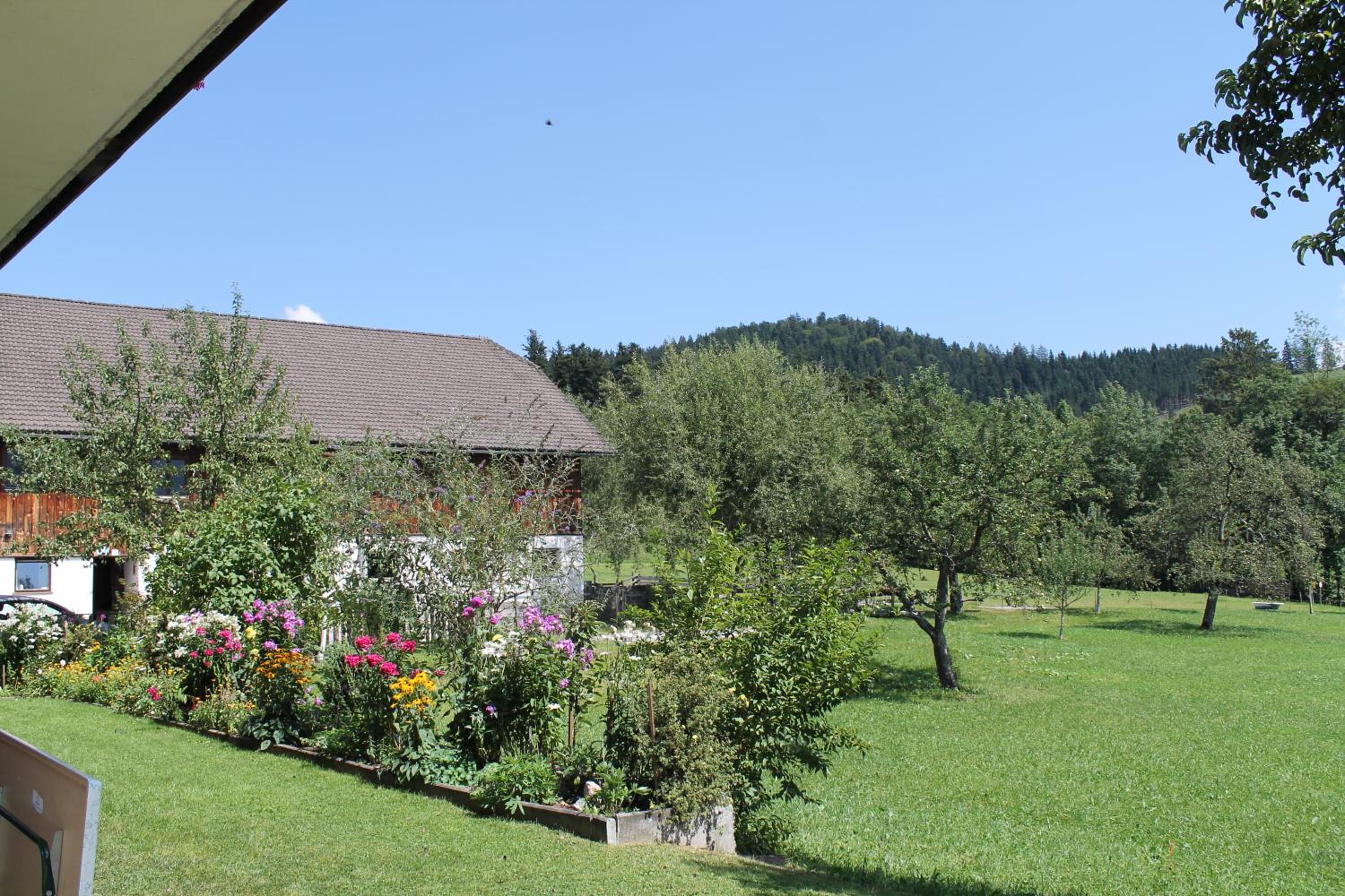 Vorderwimmhof