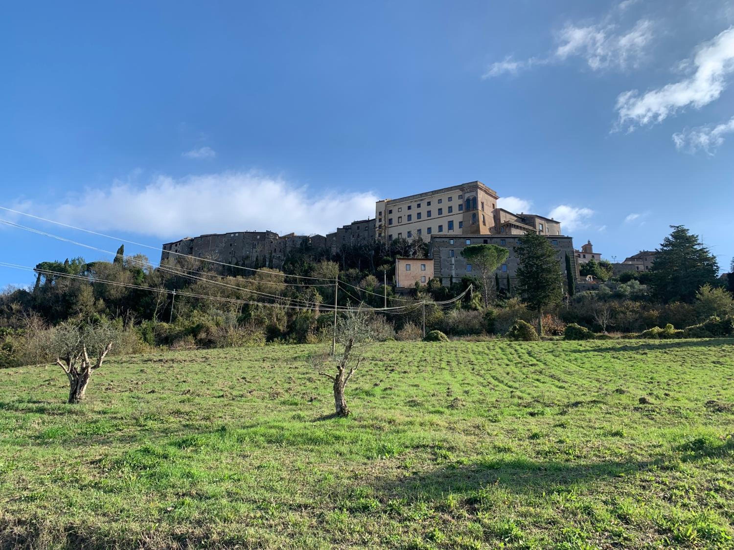 Il nido view 4