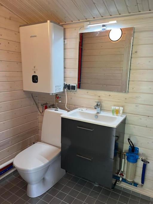 Salu summer cottage