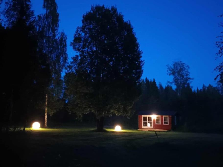 Salu summer cottage