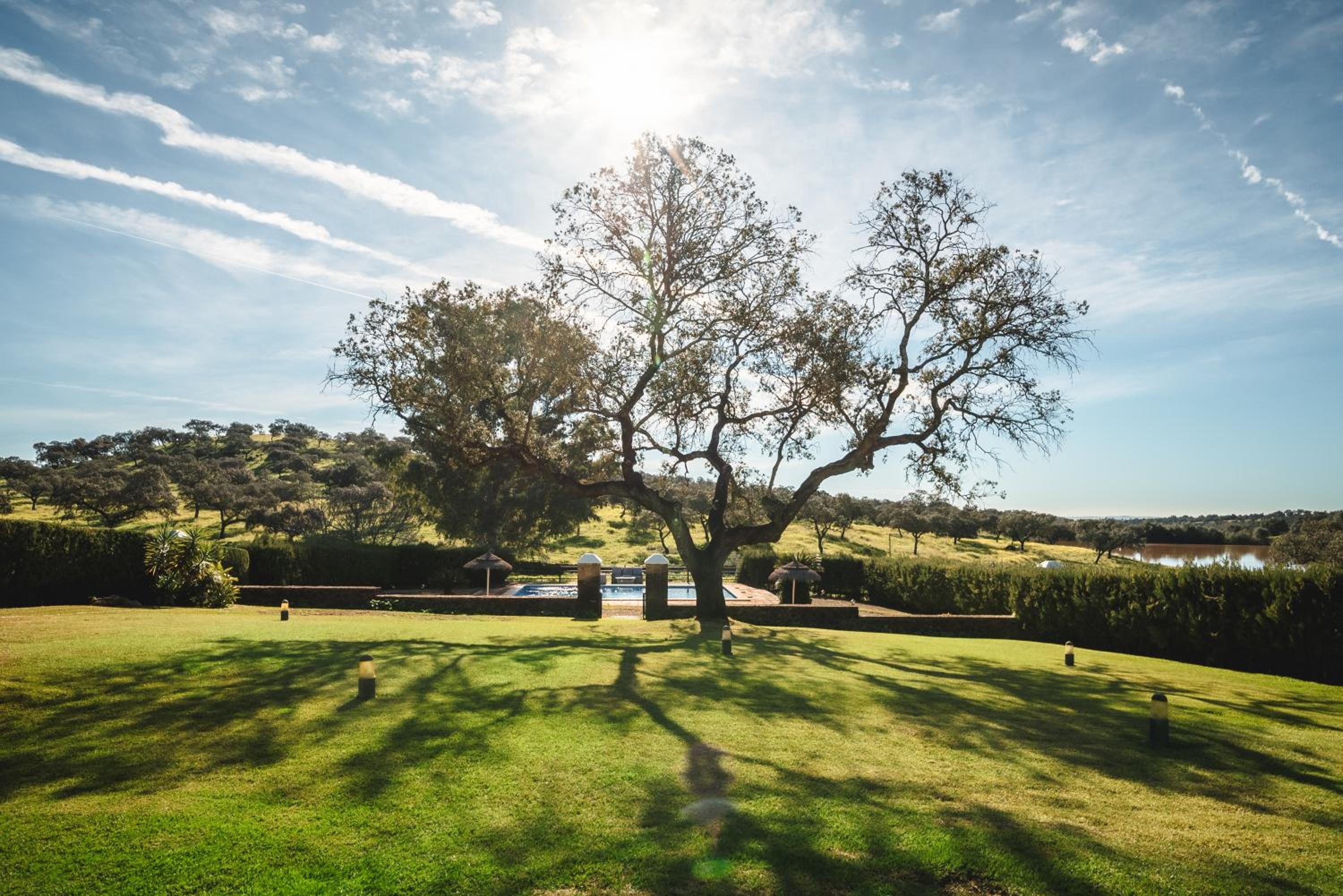 Alojamiento Rural Finca Barral