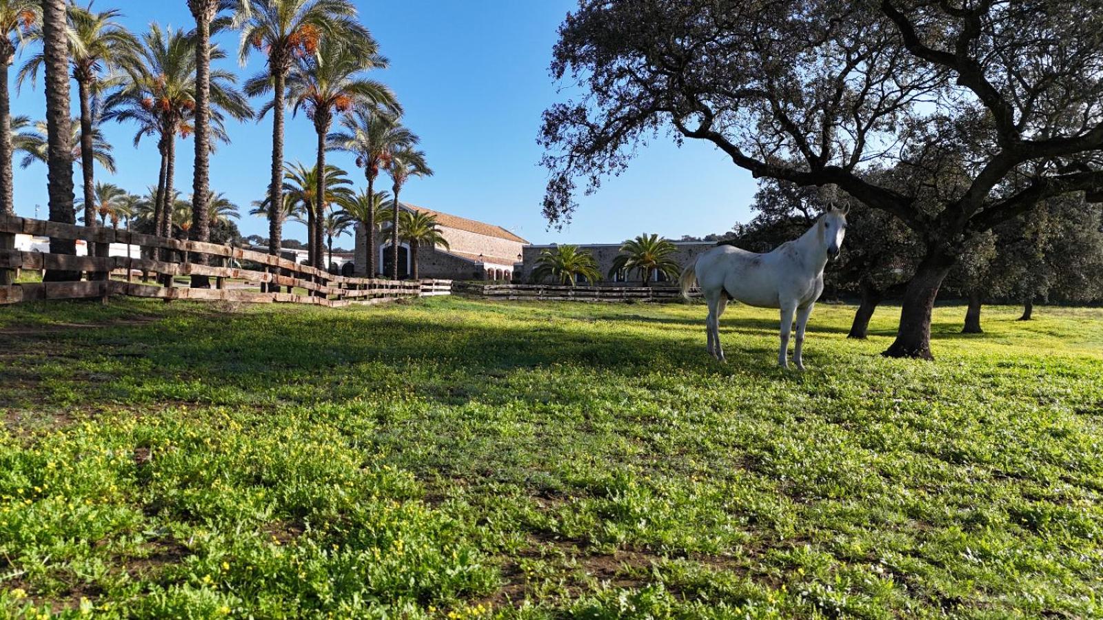 Alojamiento Rural Finca Barral