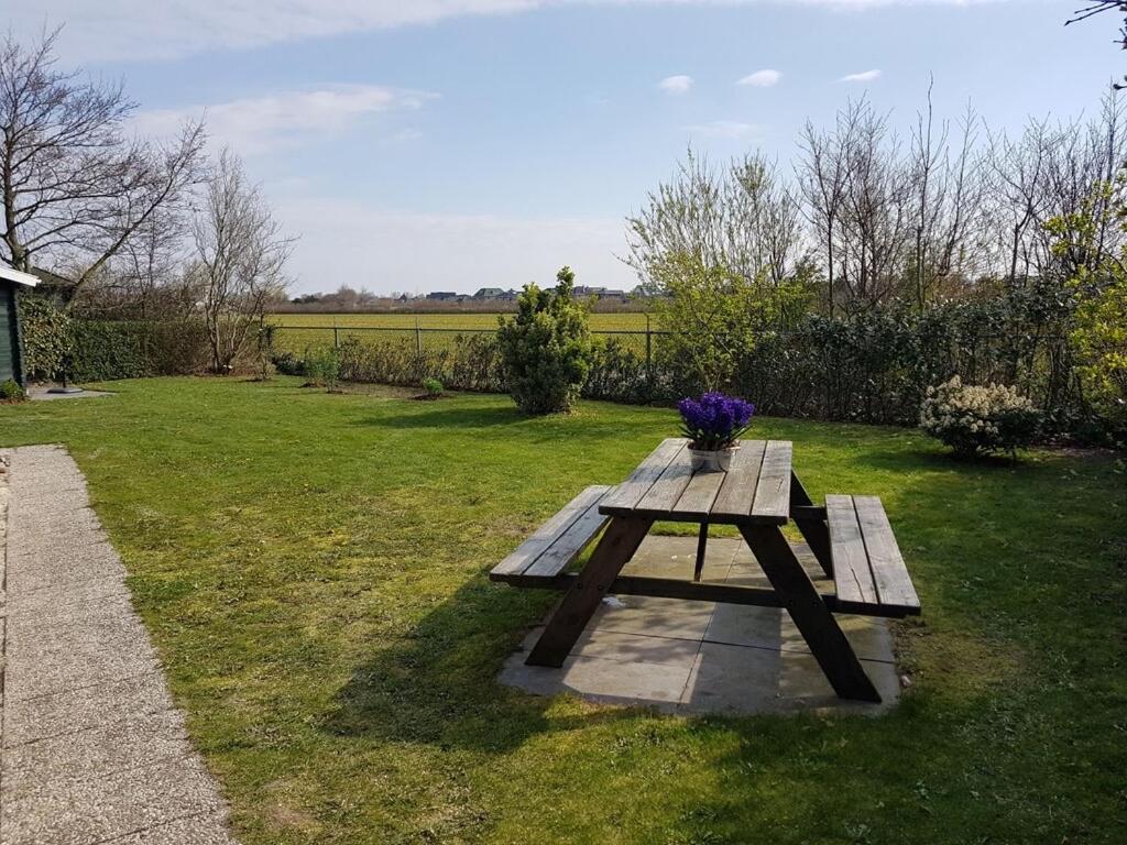 Vakantiehuis bij strand Julianadorp, afgesloten tuin & hond welkom view 4