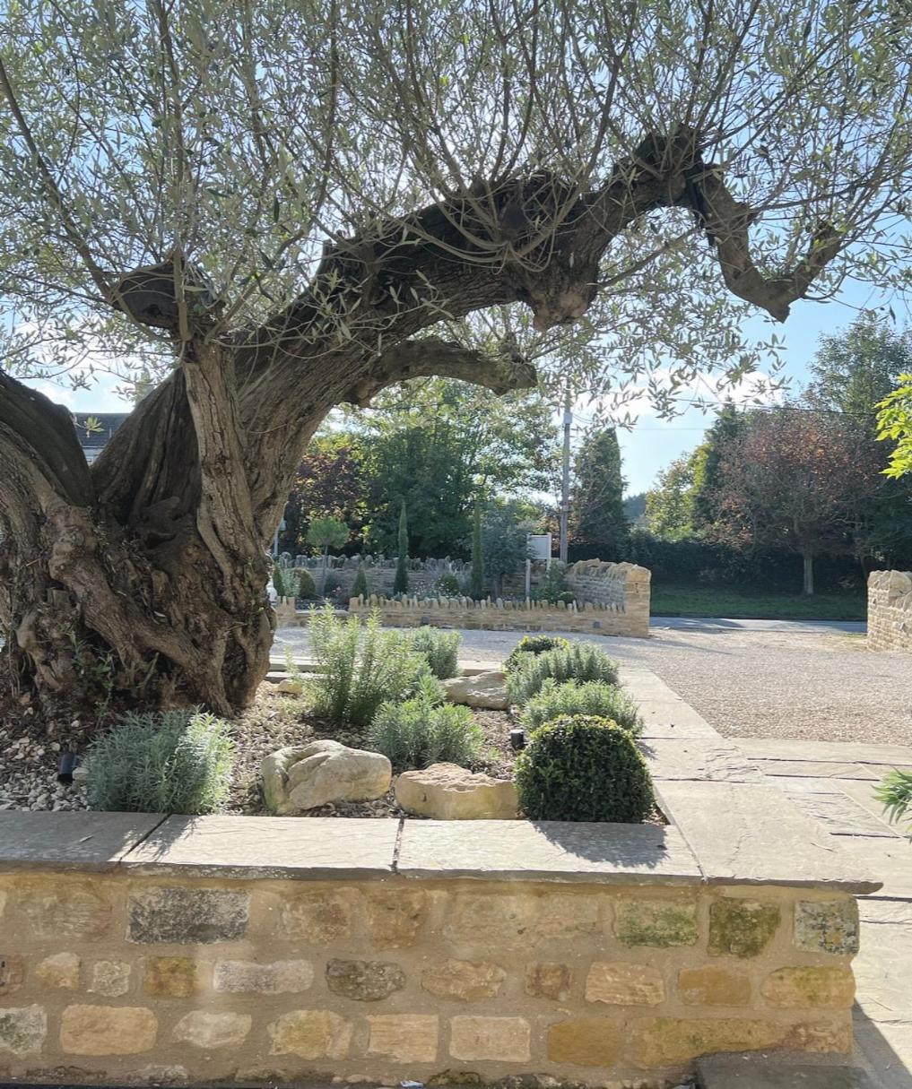 Greystone Guesthouse