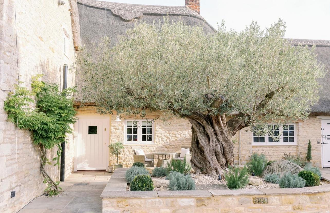 Greystone Guesthouse