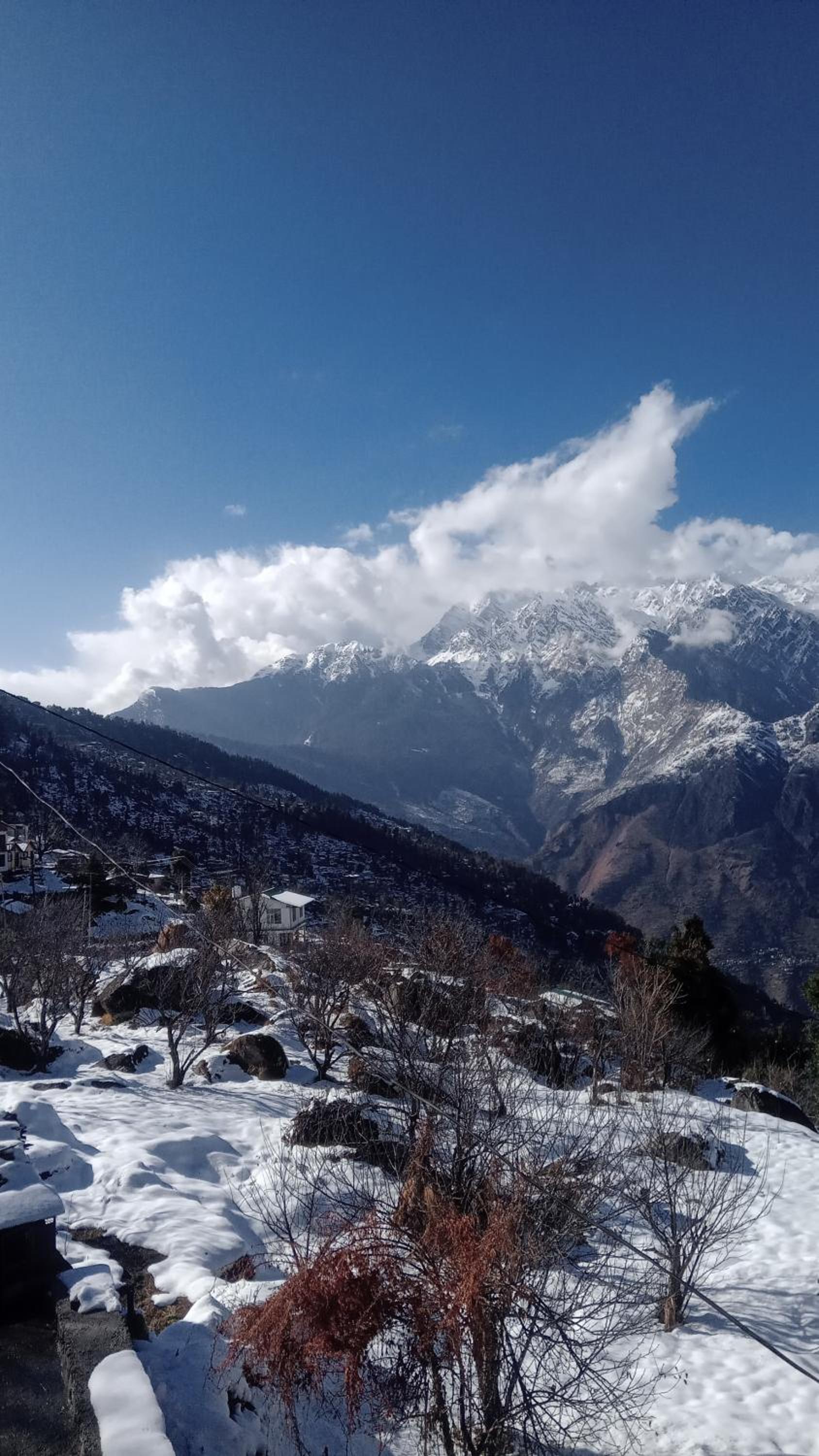 mountain homestay auli badrinath view 5