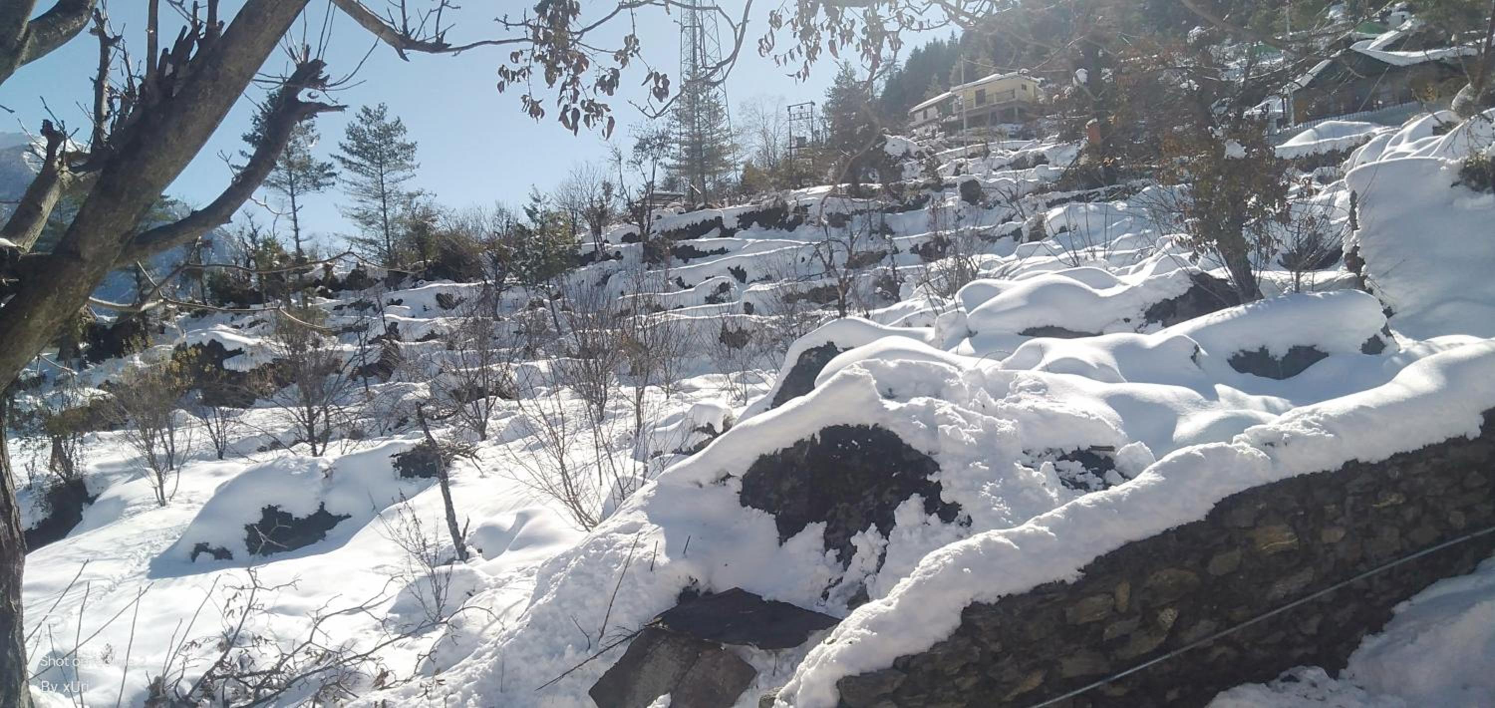 mountain homestay auli badrinath view 3