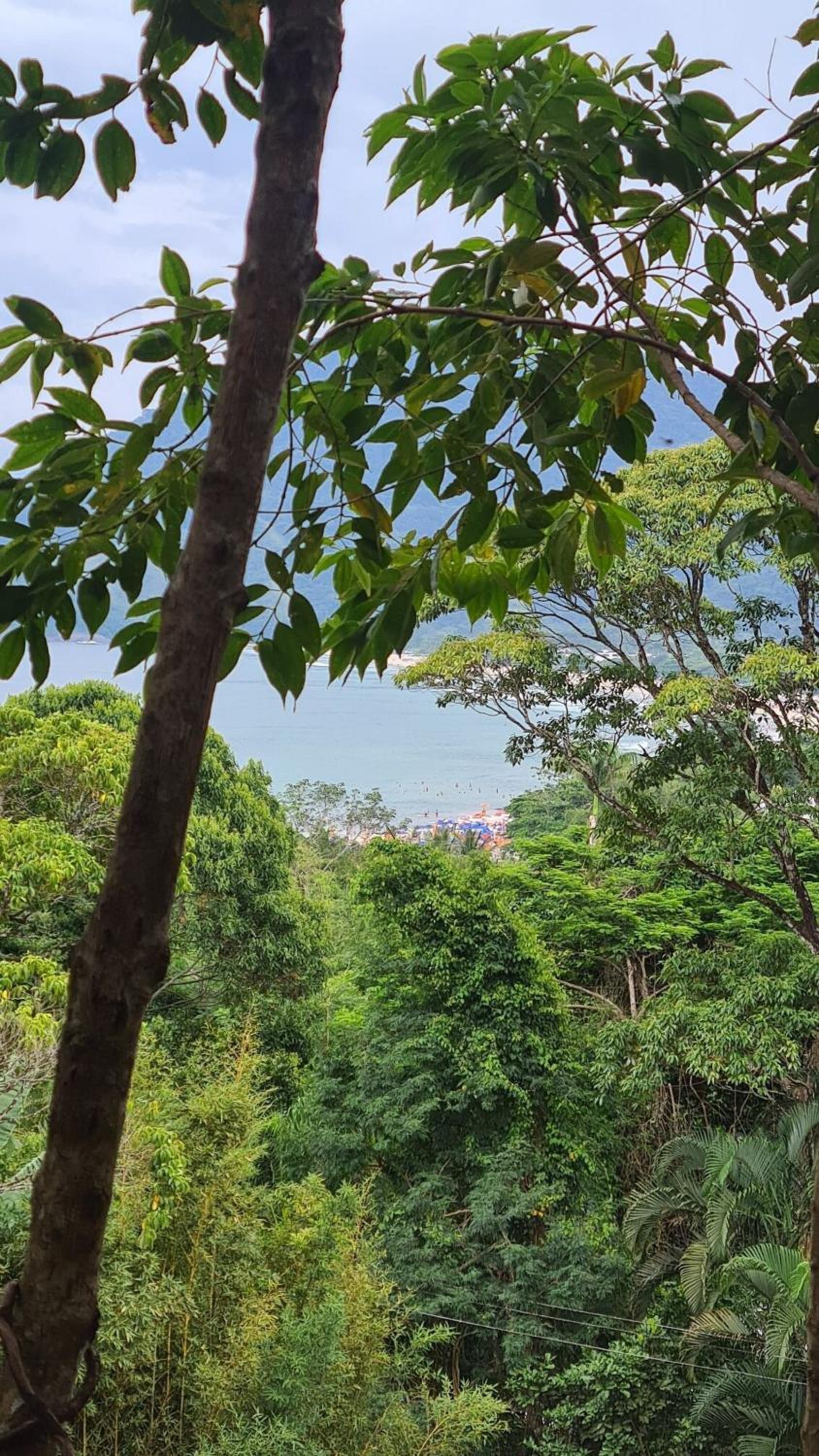TrevizZo Maresias Raridade