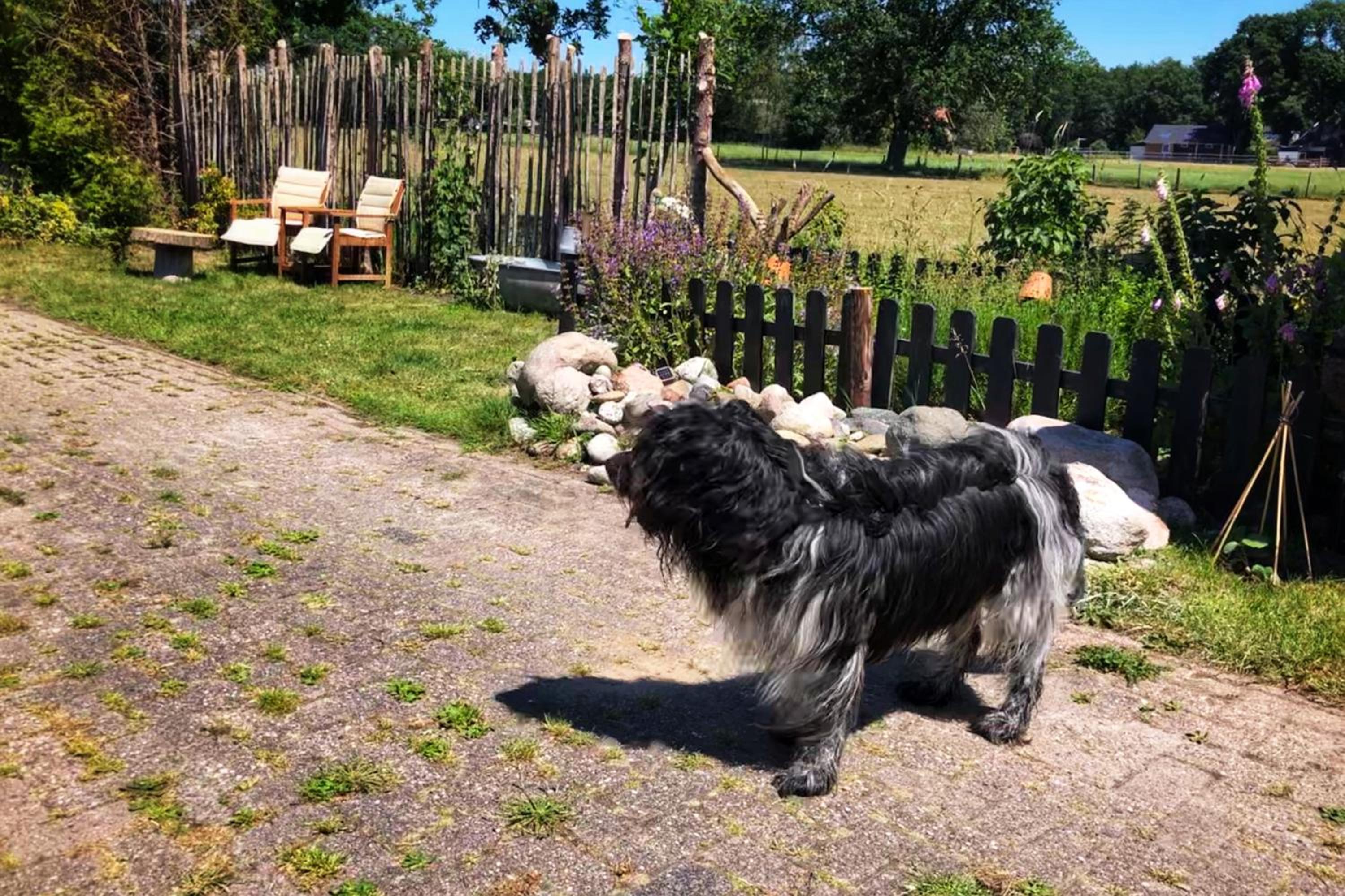 B&B Zandhuizen