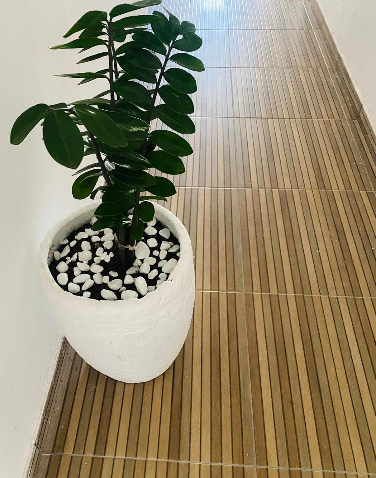 NOVO APARTAMENTO Liz 2