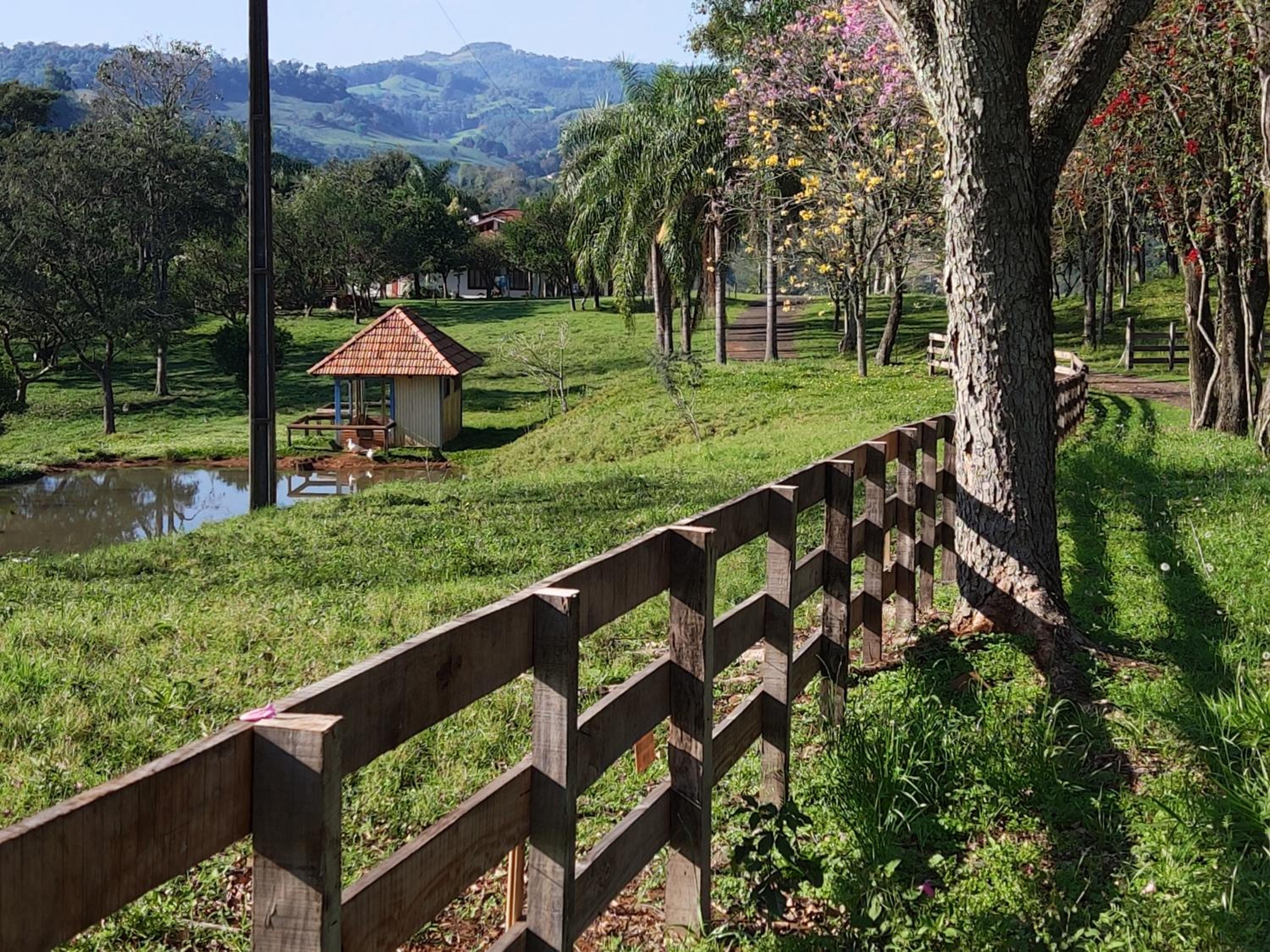 Vereda dos Ipês - Casa de Campo