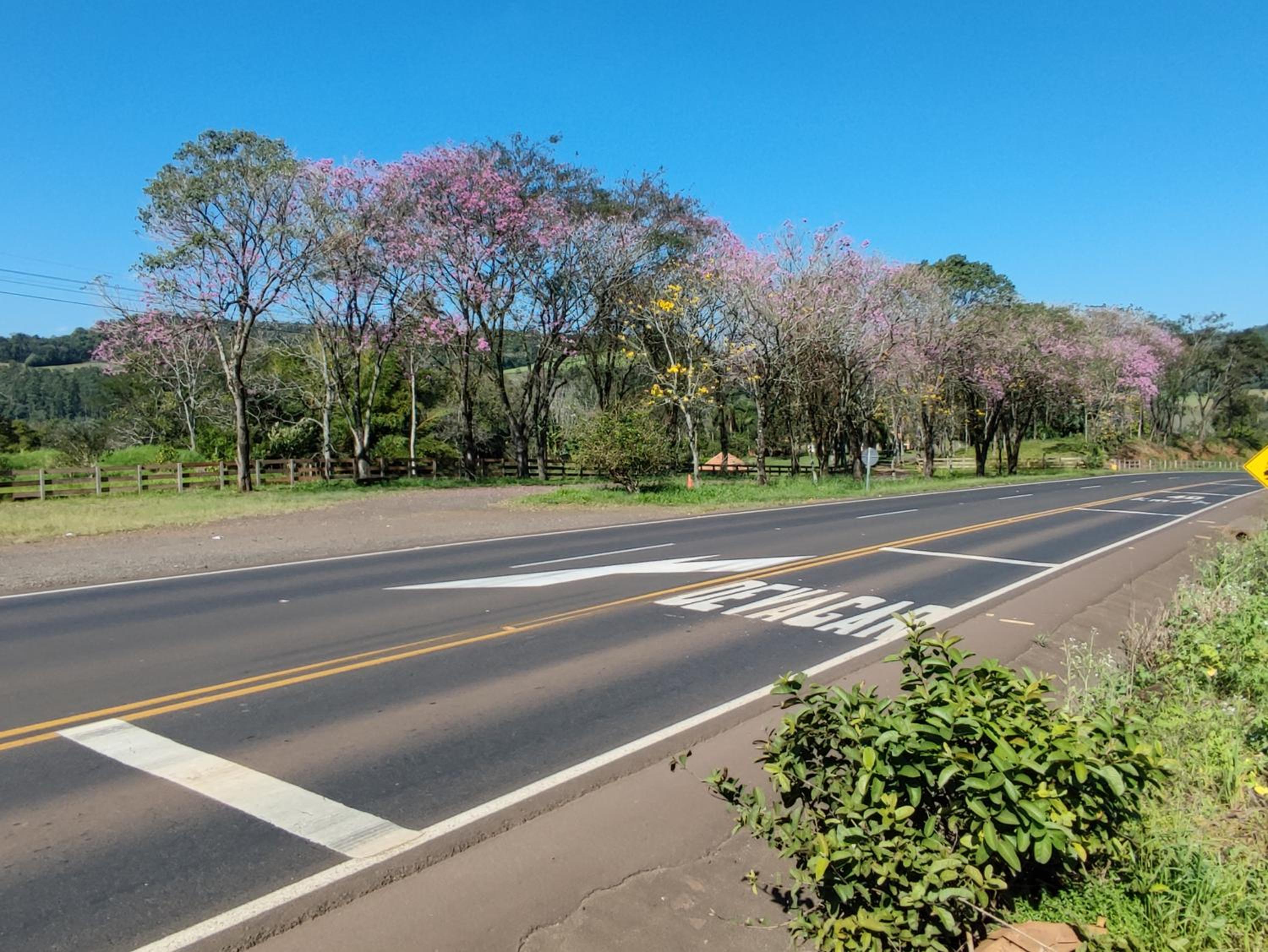Vereda dos Ipês - Casa de Campo