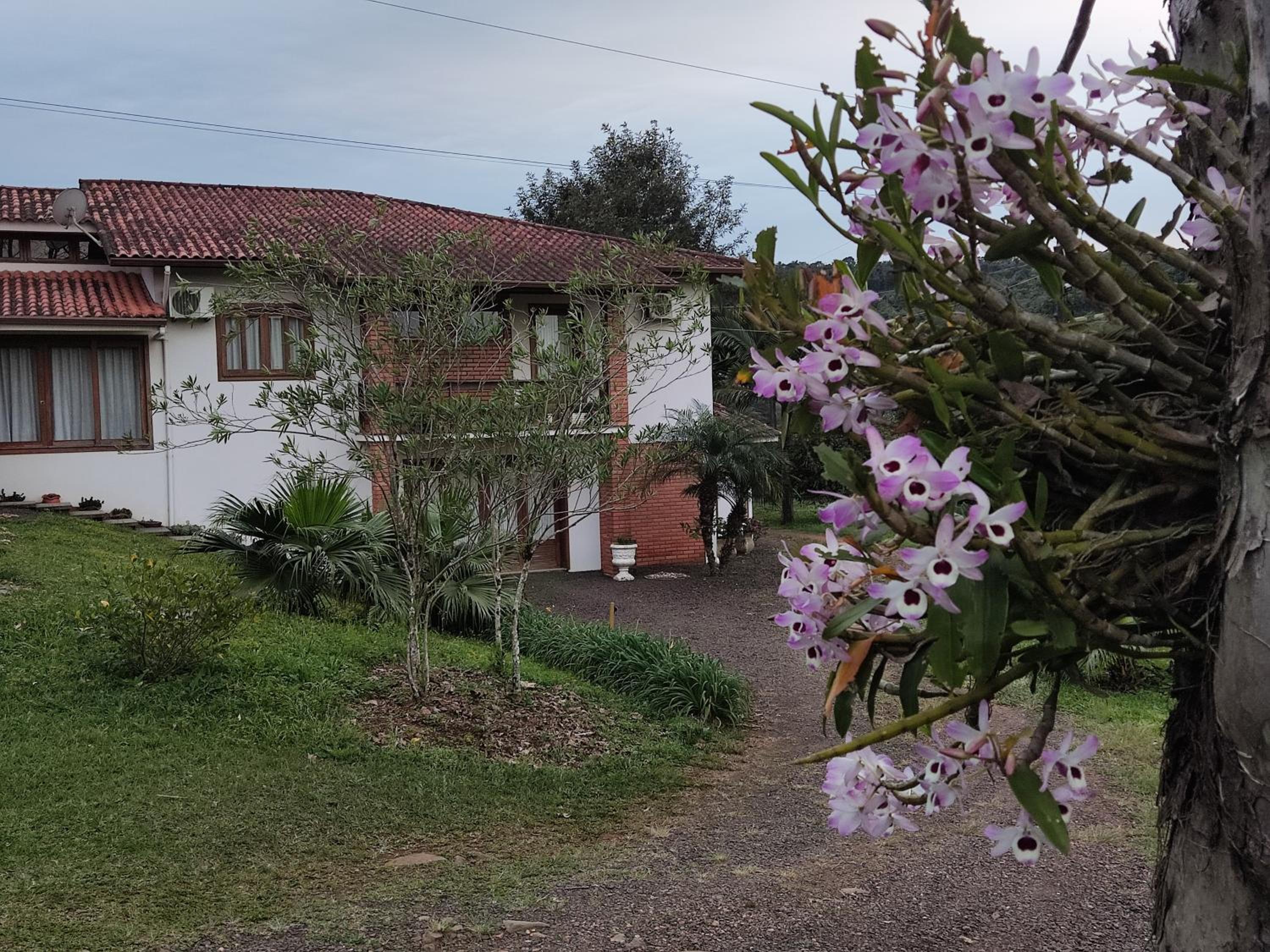 Vereda dos Ipês - Casa de Campo