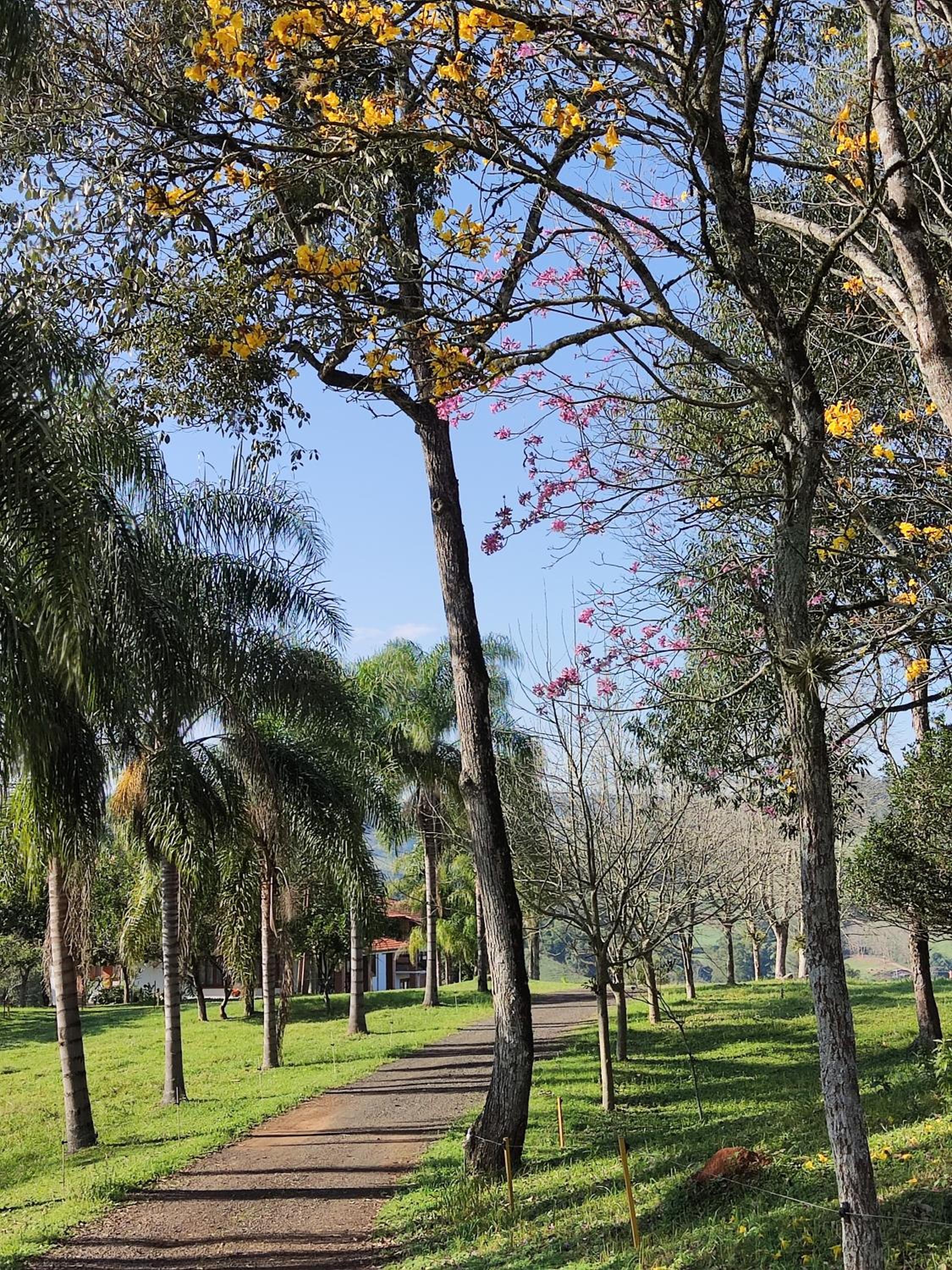 Vereda dos Ipês - Casa de Campo