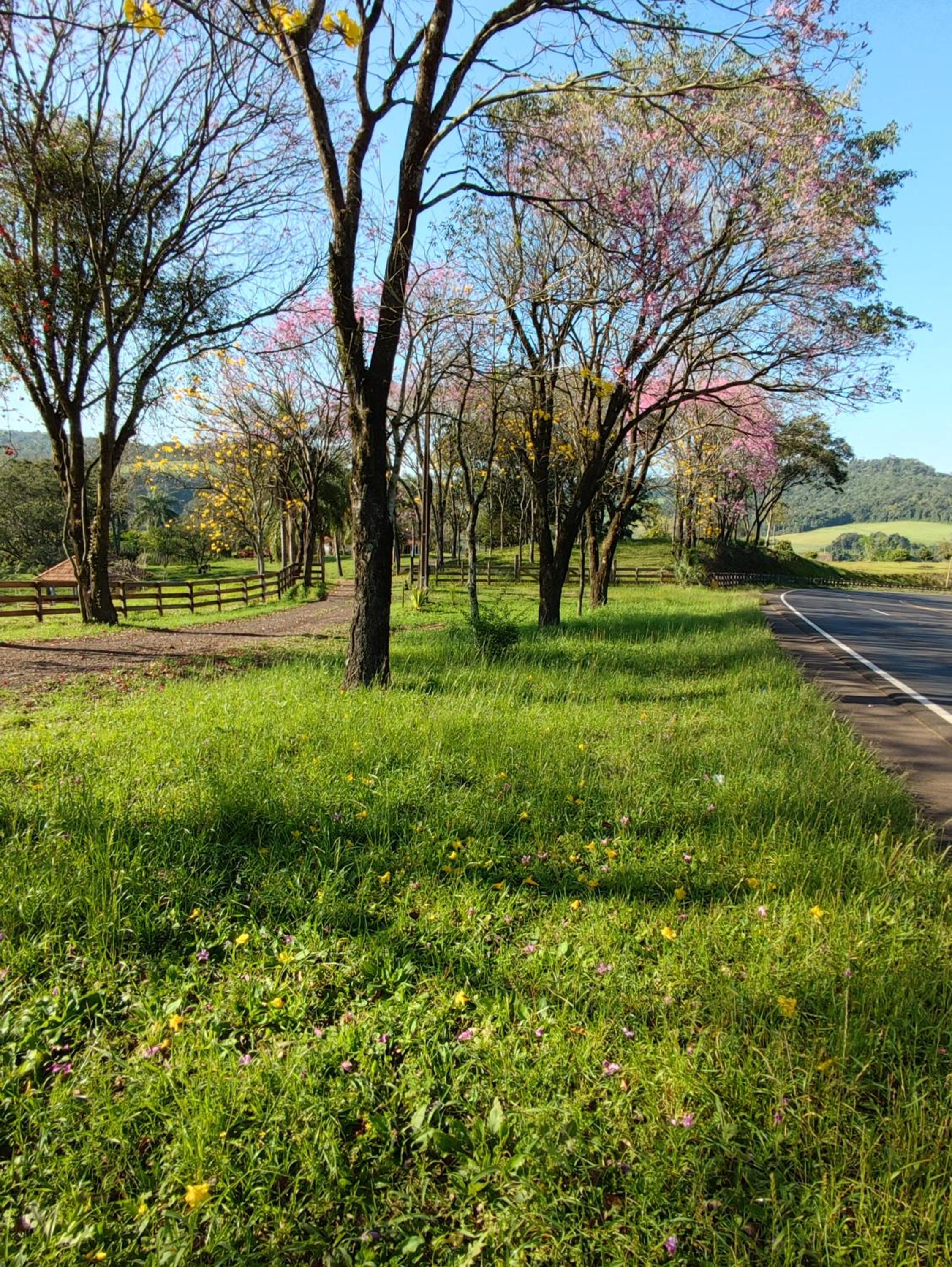 Vereda dos Ipês - Casa de Campo