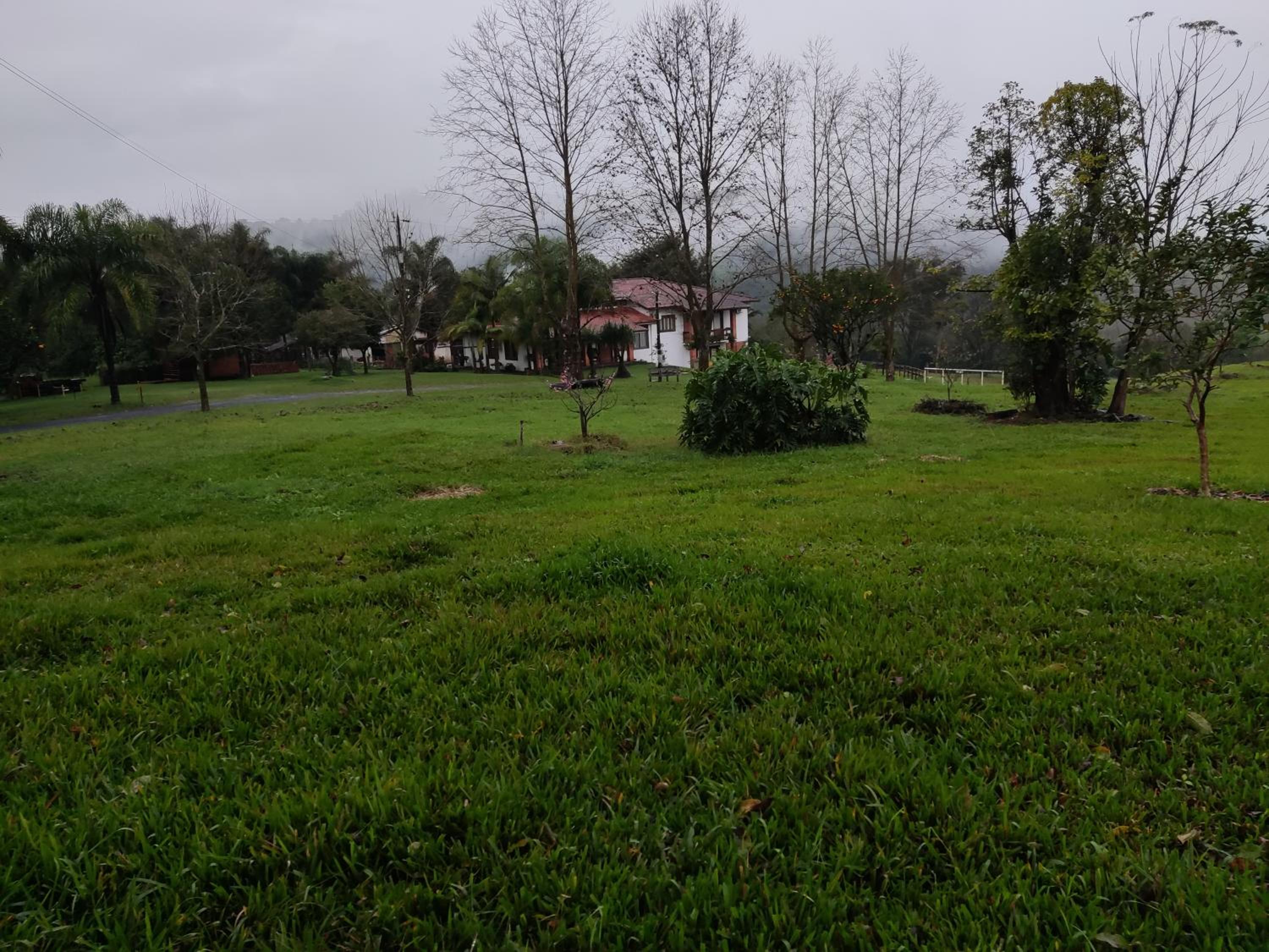 Vereda dos Ipês - Casa de Campo
