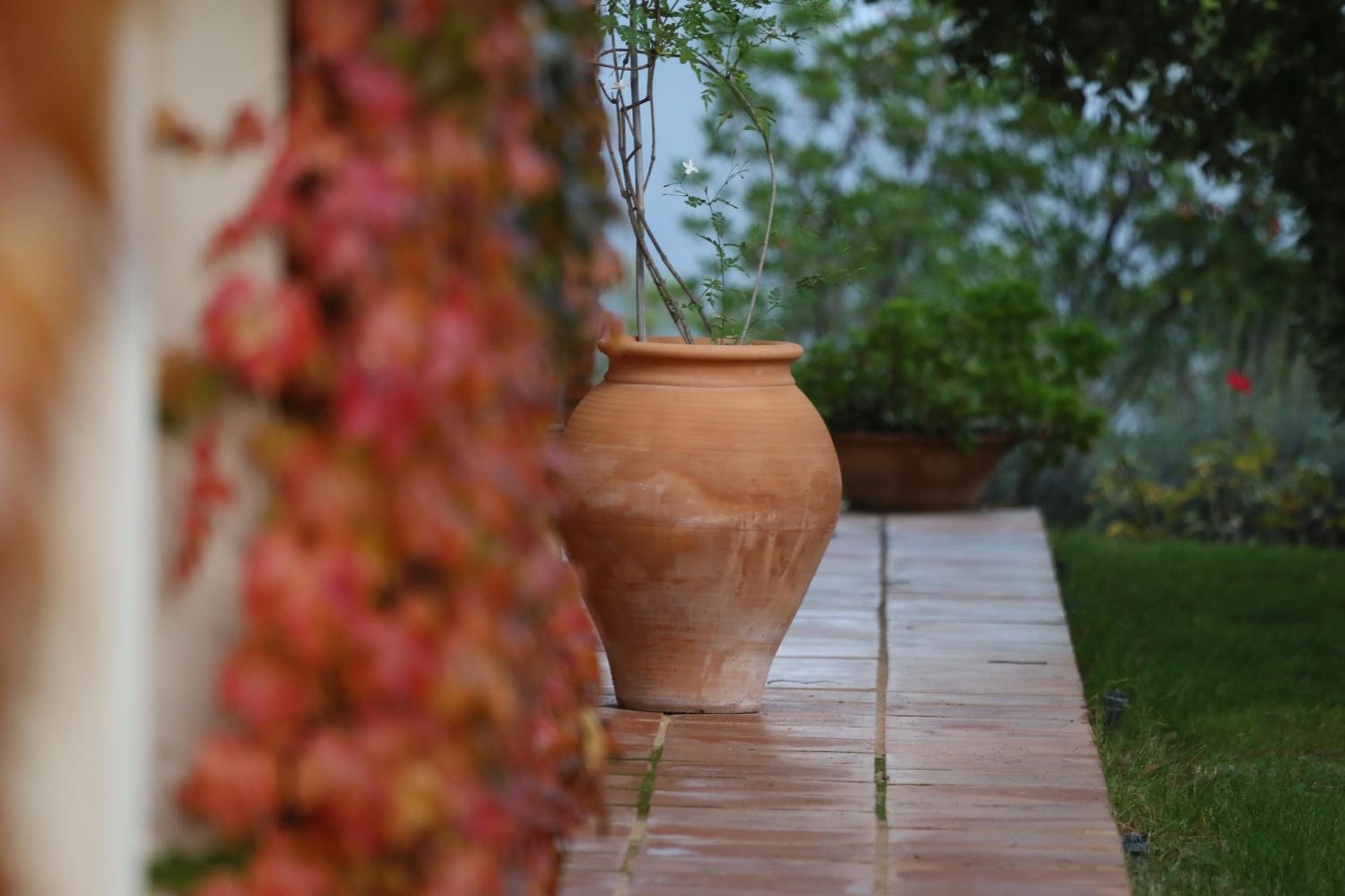 Finca La Fronda