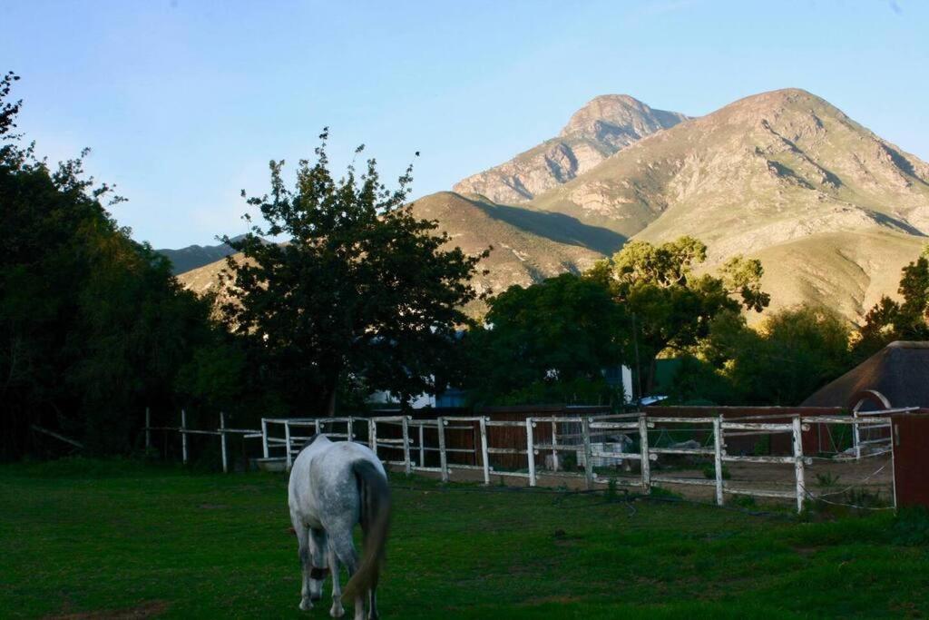 Gypsy Mama in Greyton view 4