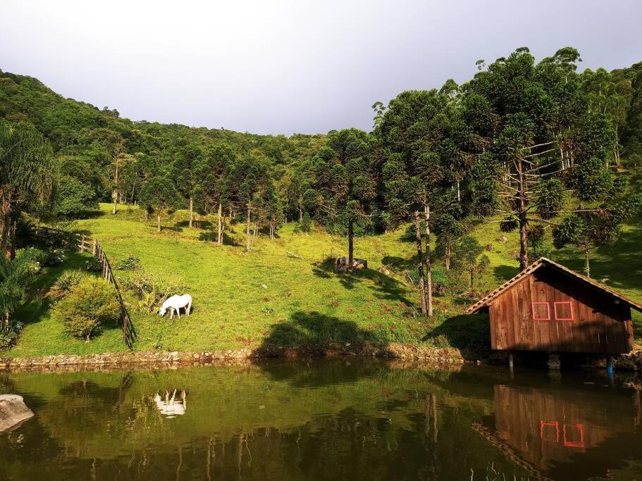 Morro Azul Chalés