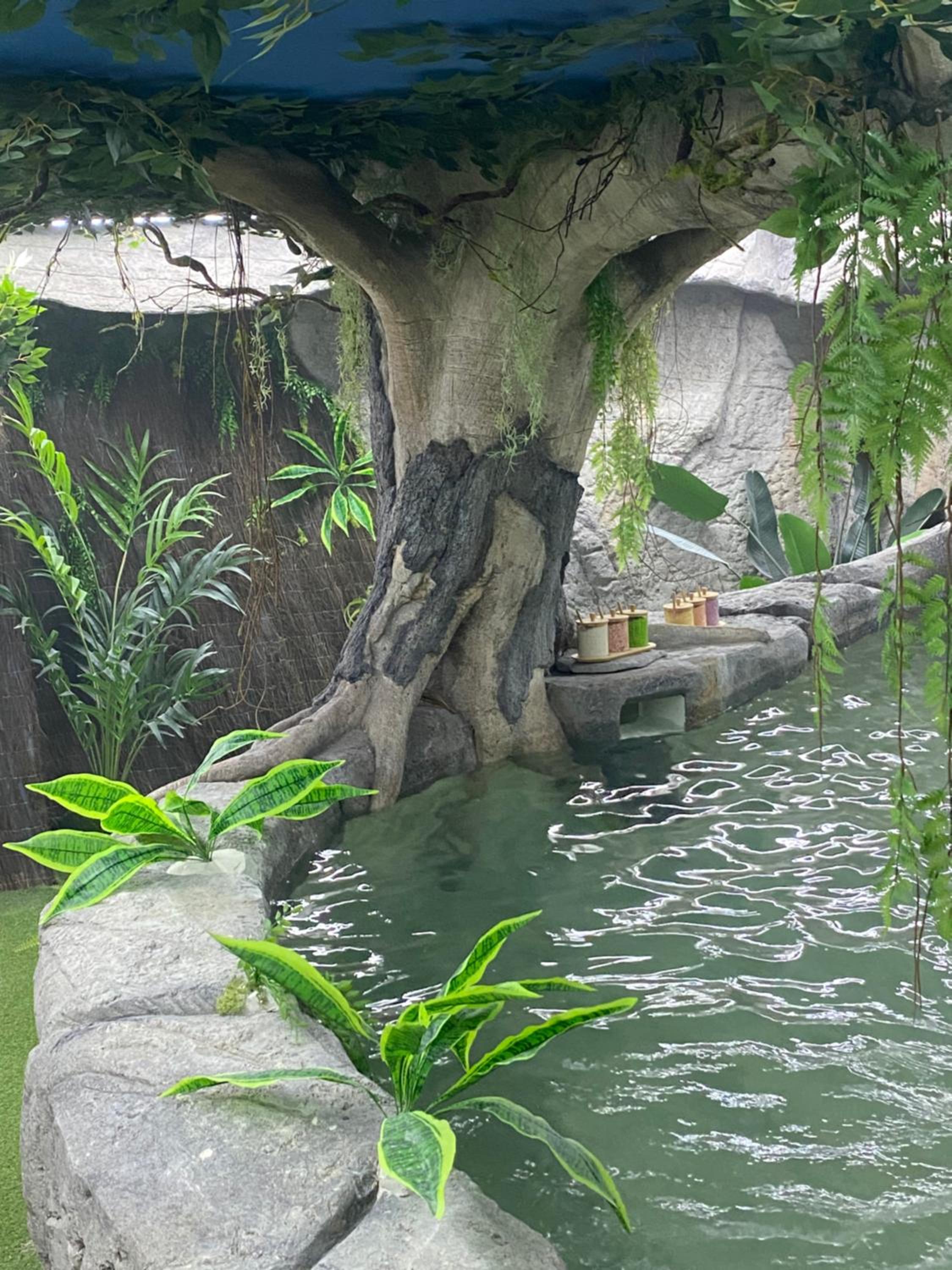 Futurotel Spa Garden