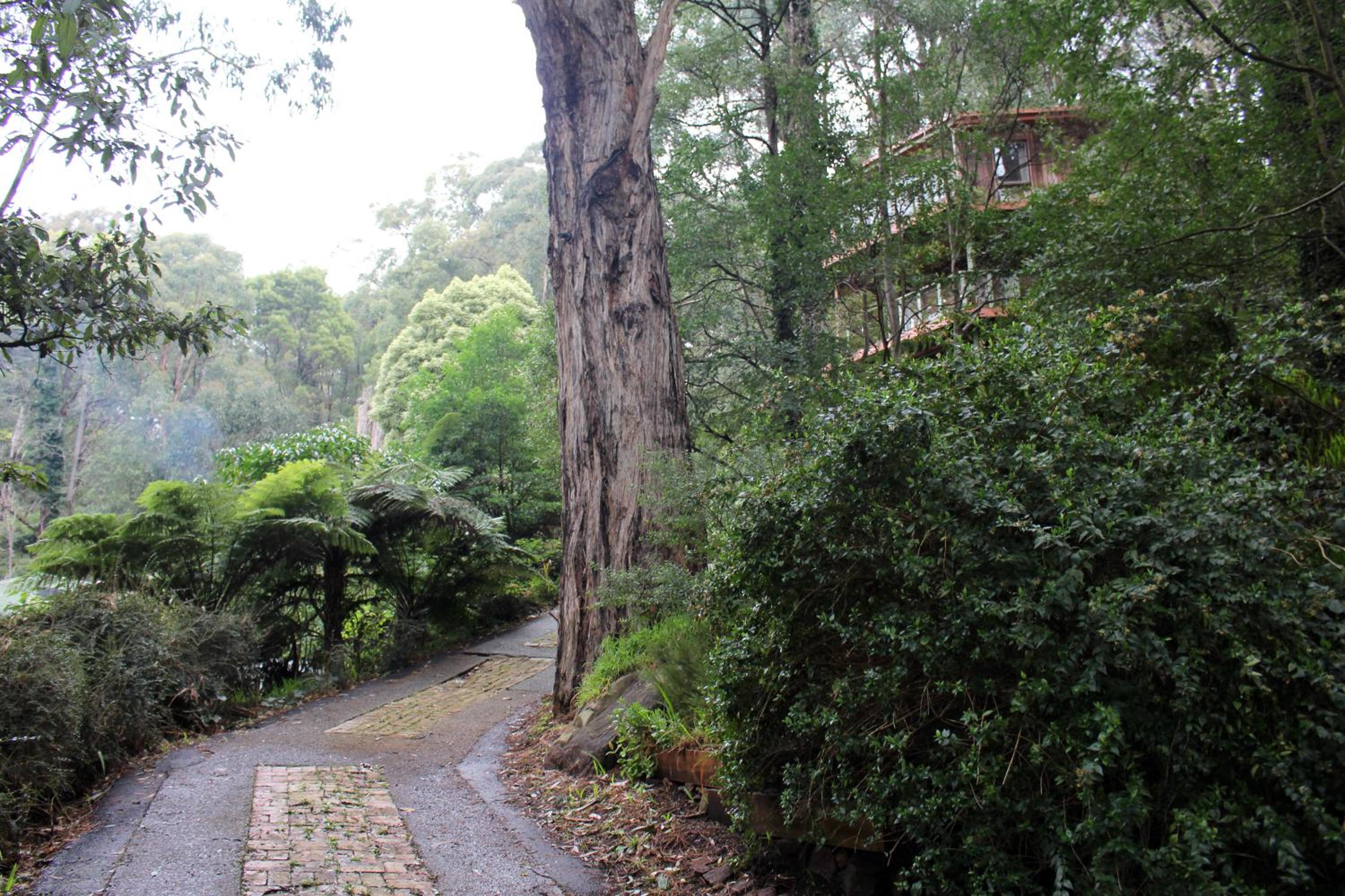 Risehill House