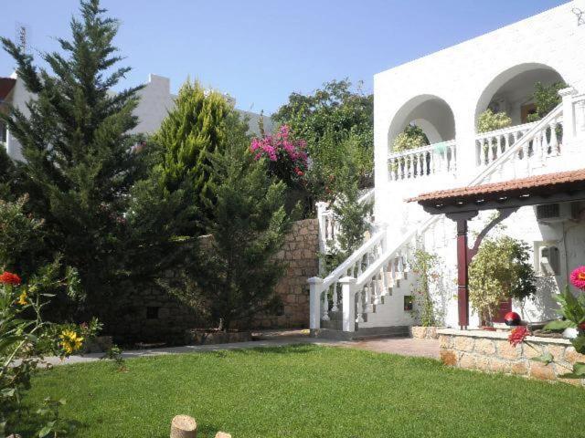 Photo 43