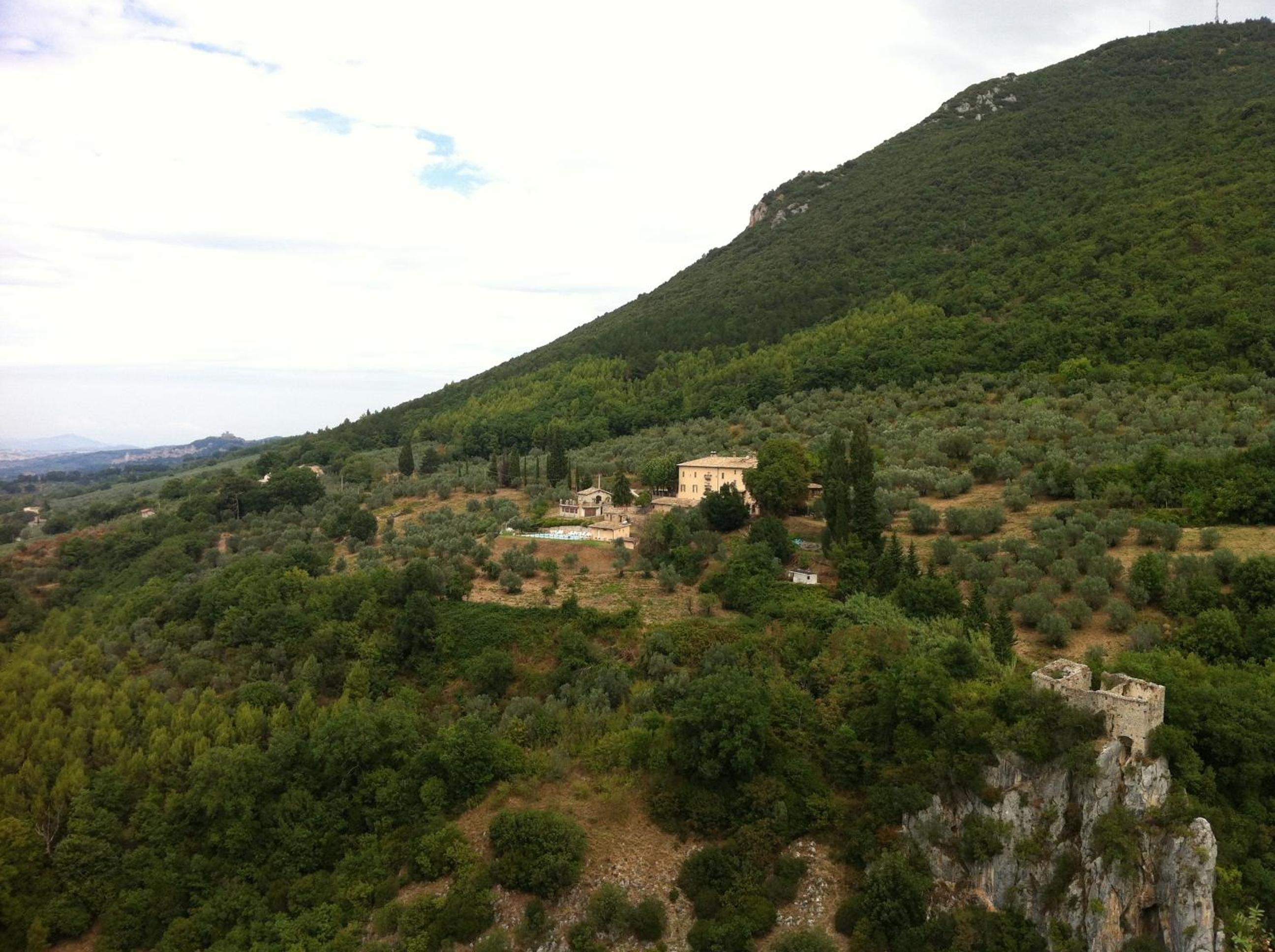 Photo 41