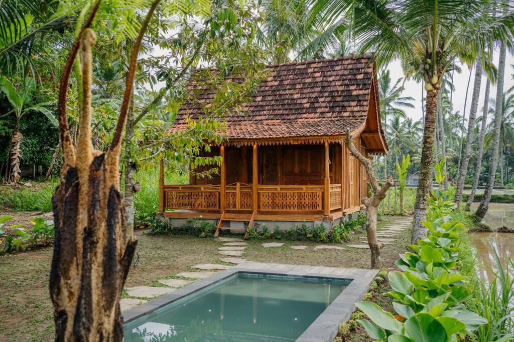 Uma harum sari Villa view 4