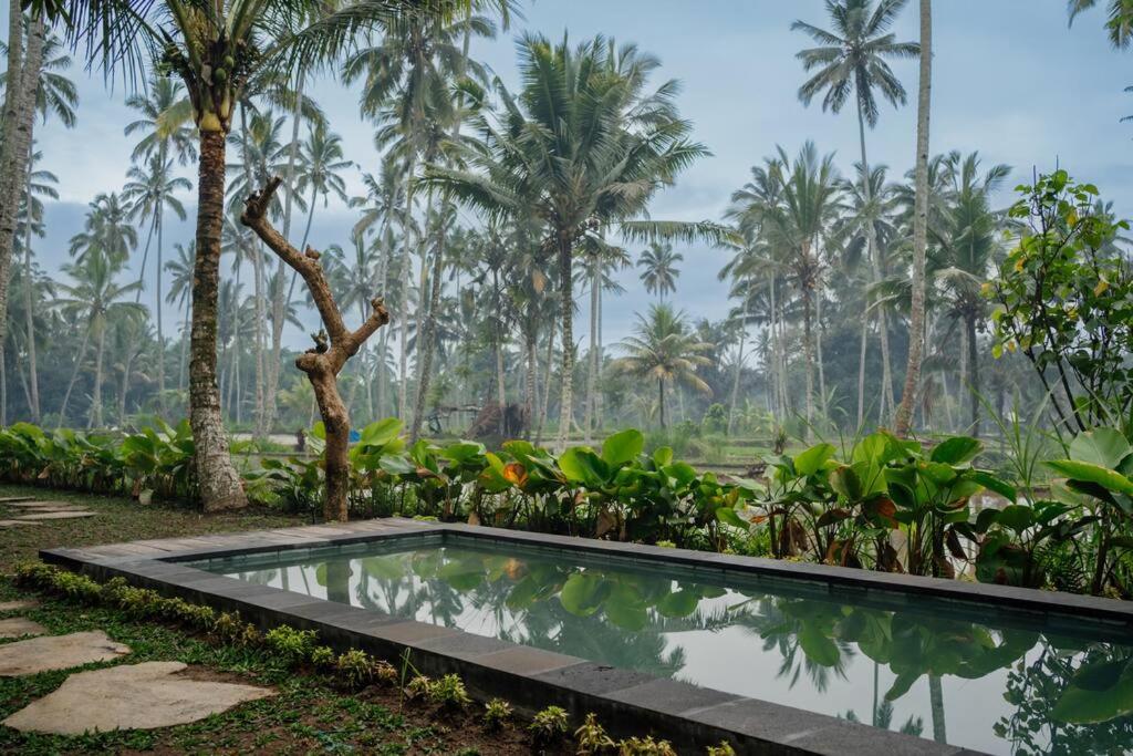 Uma harum sari Villa view 5