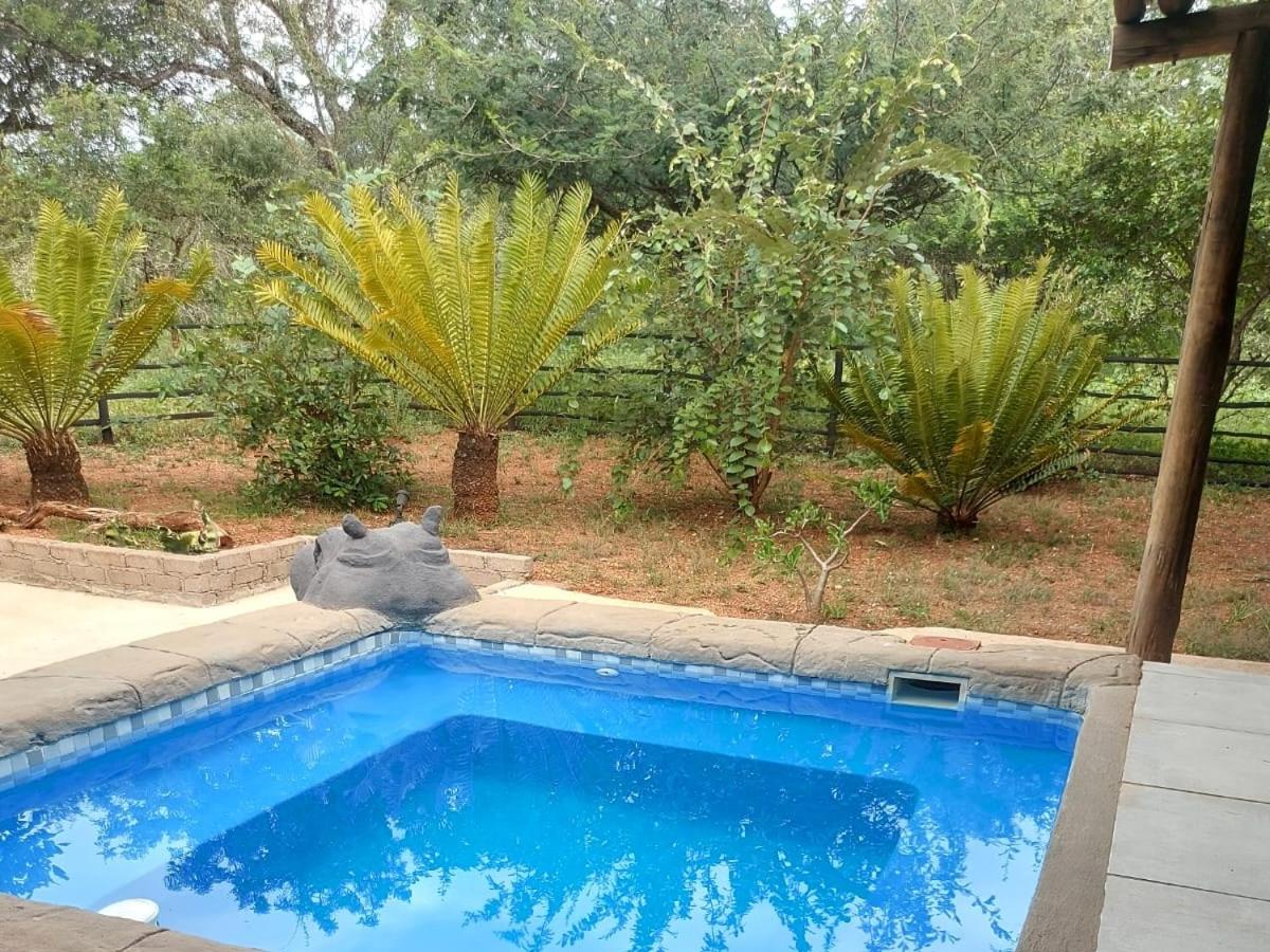 Eye of Kruger - Spacious holiday home with splash pool and boma view 3