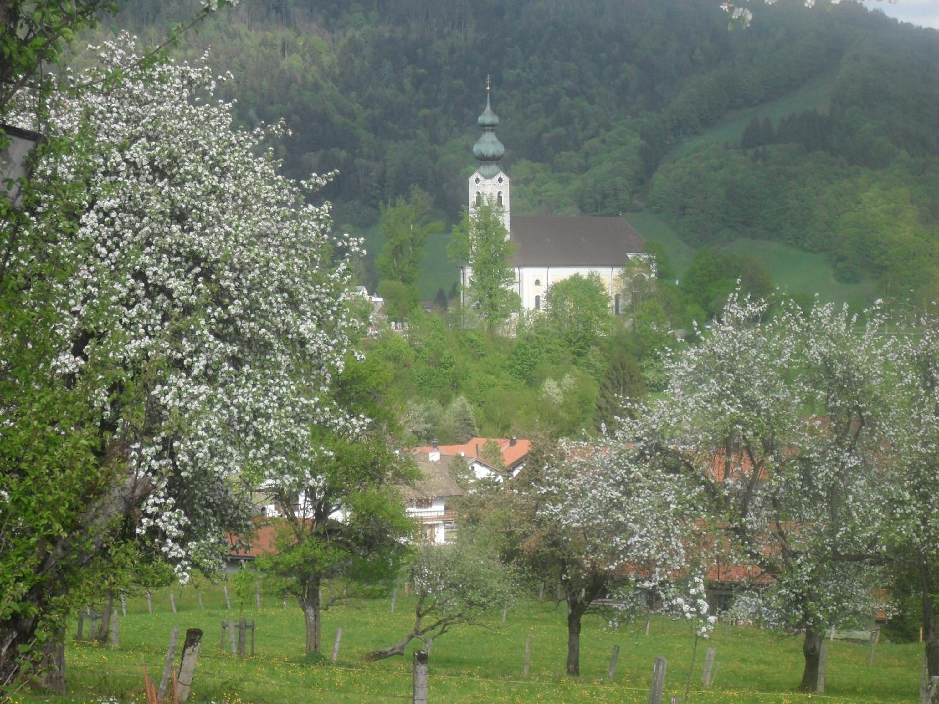 Dammerer Hof inkl. Chiemgaukarte