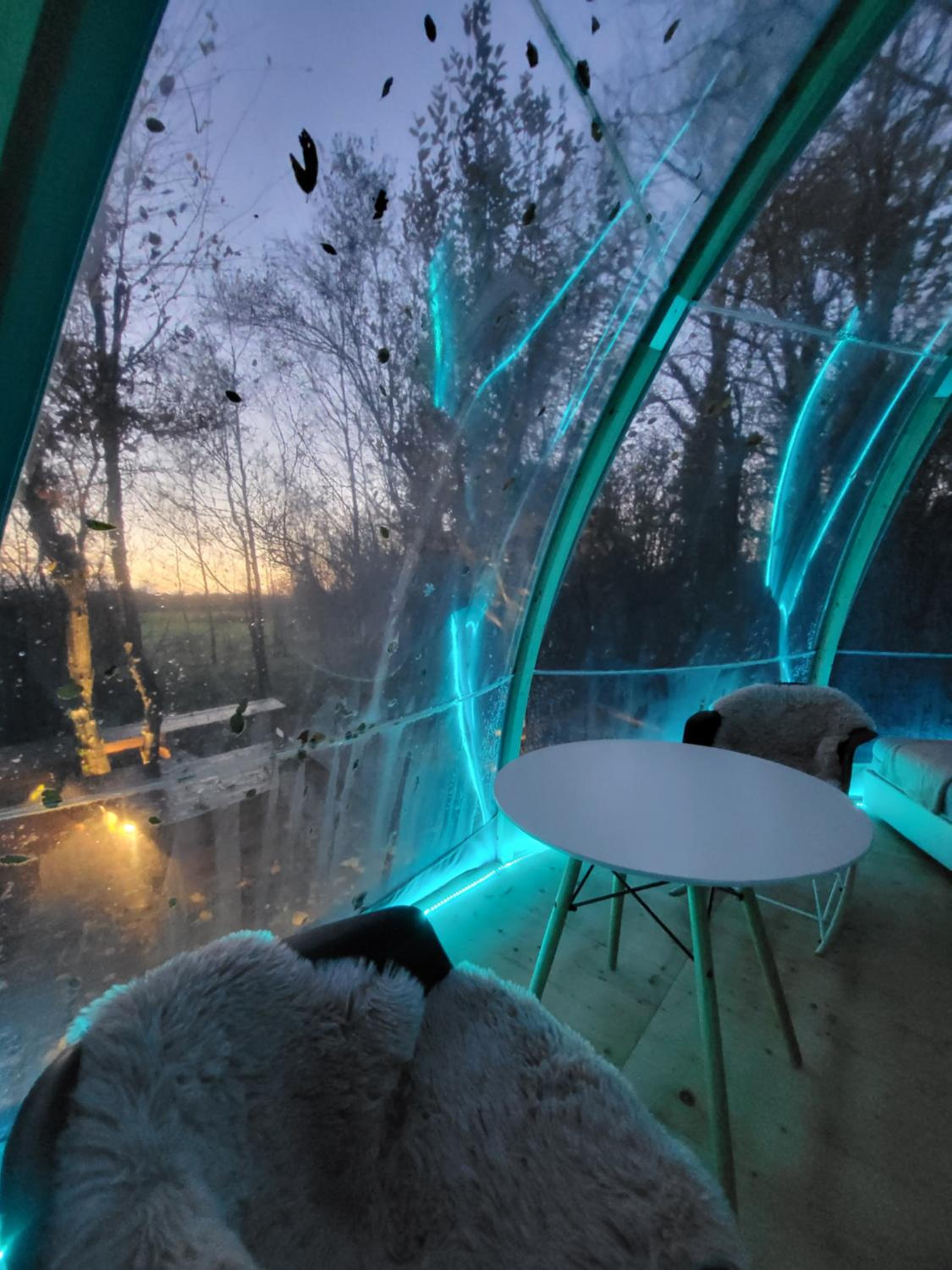 OUT & LODGE, Wigwam